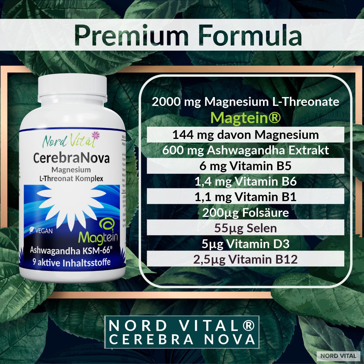 Nord Vital Magnesium L-Threonate - Magtein & Ashwagandha Komplex - 120 Kapseln Kapseln, 93 g
