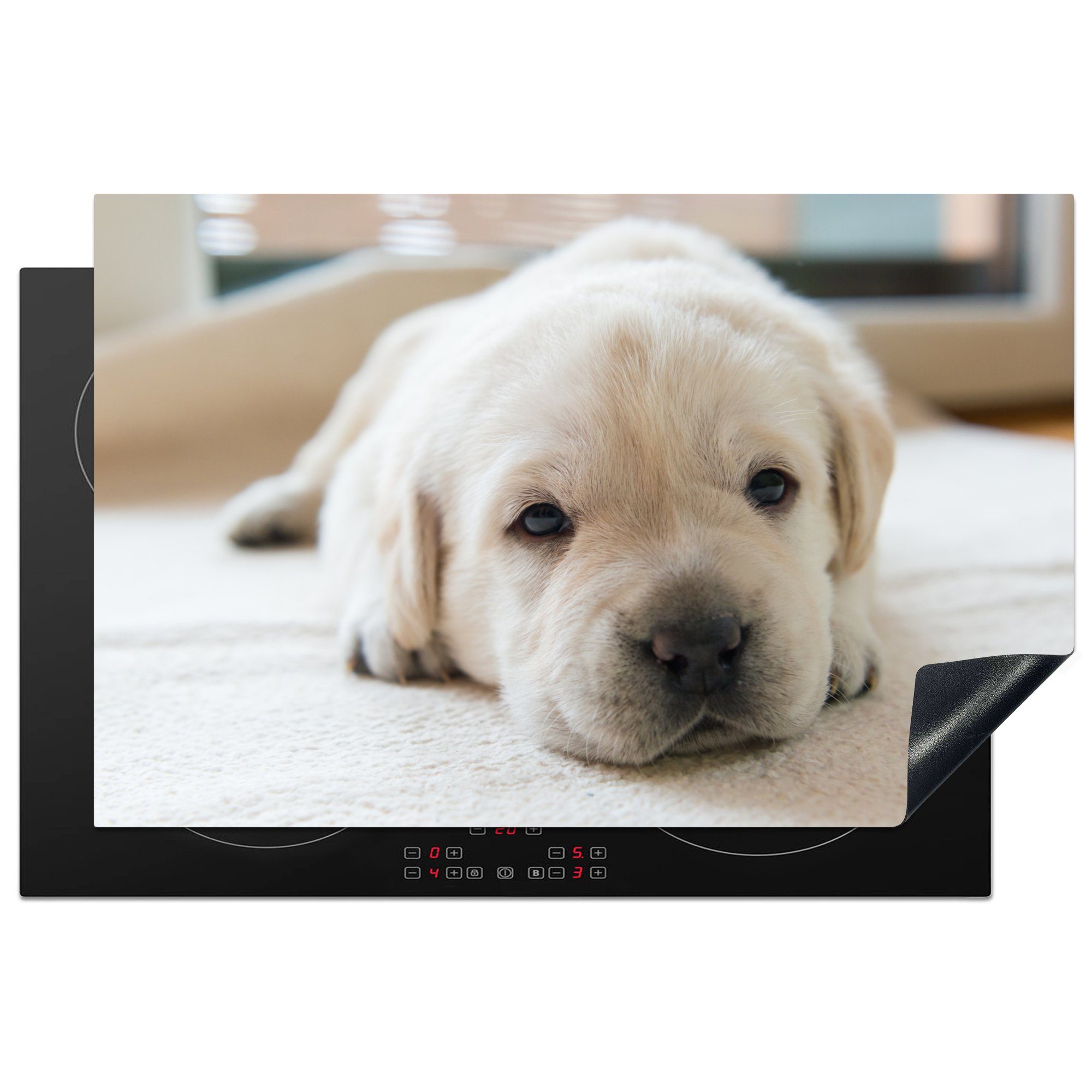 MuchoWow Herdblende-/Abdeckplatte Eine Nahaufnahme eines müden Labrador-Welpen, Vinyl, (1 tlg), 81x52 cm, Induktionskochfeld Schutz für die küche, Ceranfeldabdeckung