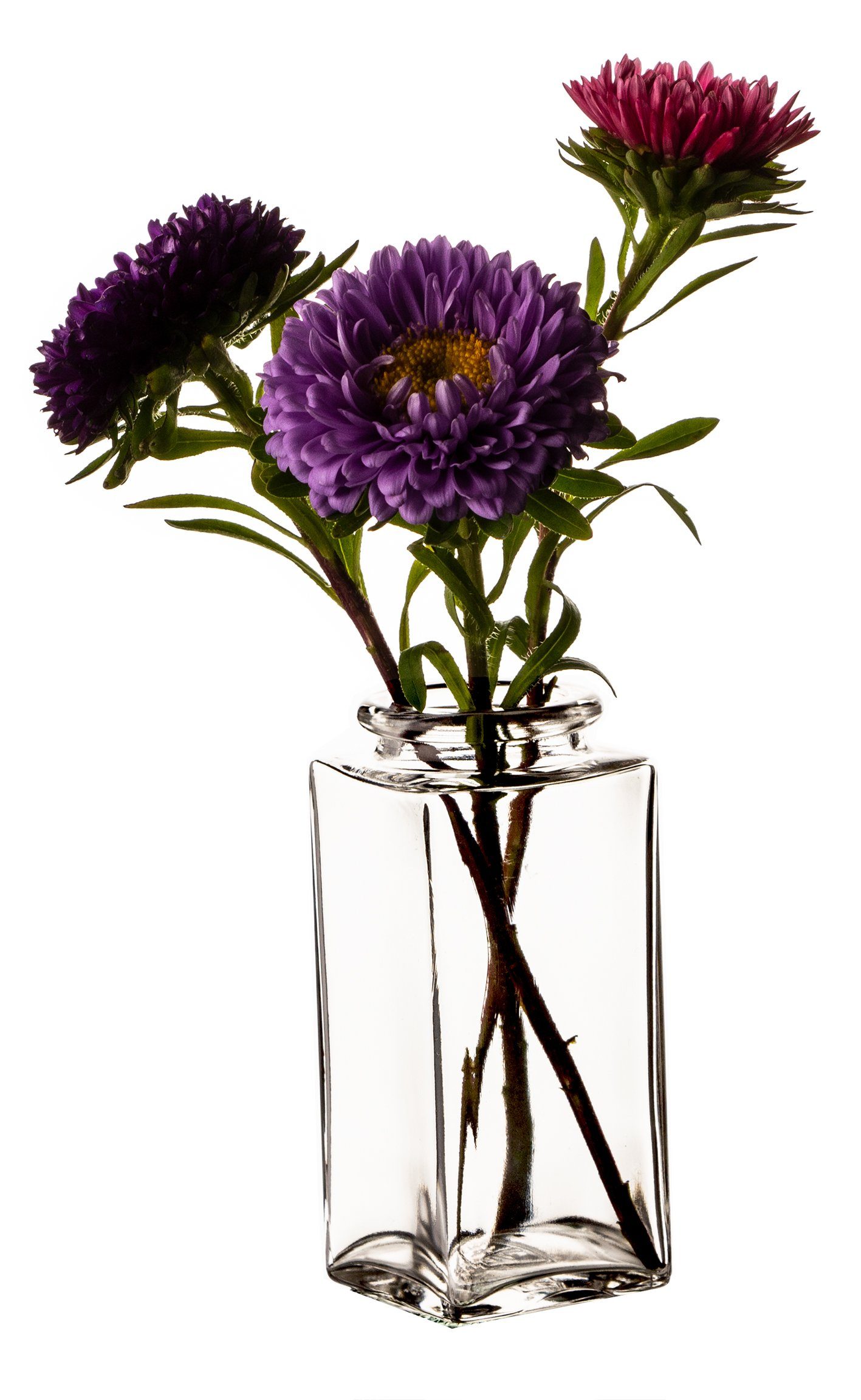 BigDean Tischvase 12x Blumenvase eckig 9x4 günstig online kaufen