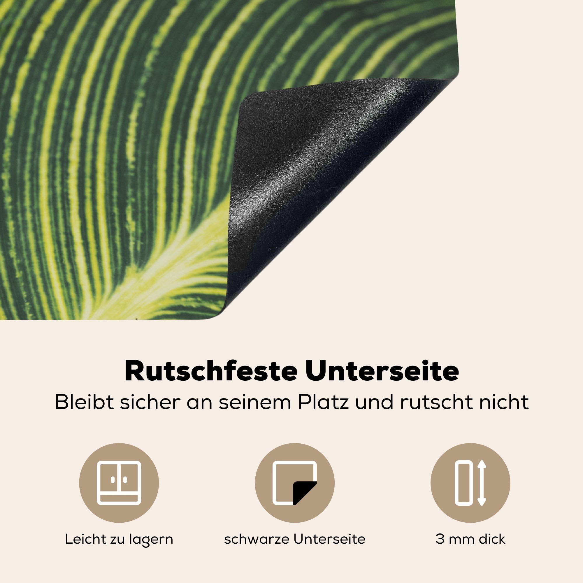 MuchoWow Herdblende-/Abdeckplatte Blätter - Pflanzen Natur, - tlg), (1 Vinyl, küche Arbeitsplatte für cm, Ceranfeldabdeckung, 78x78