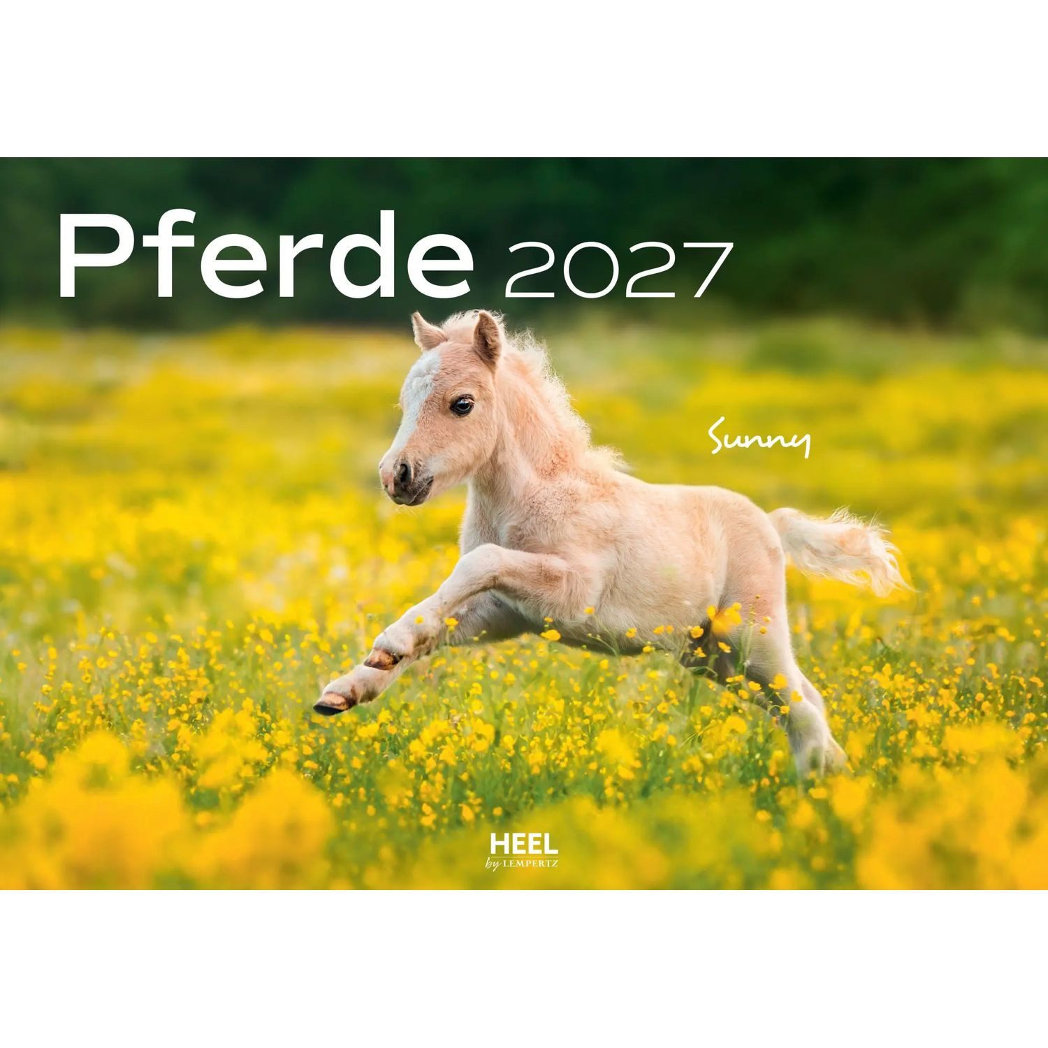 Edition Lempertz Wandkalender Pferde Kalender 2027 Wandkalender