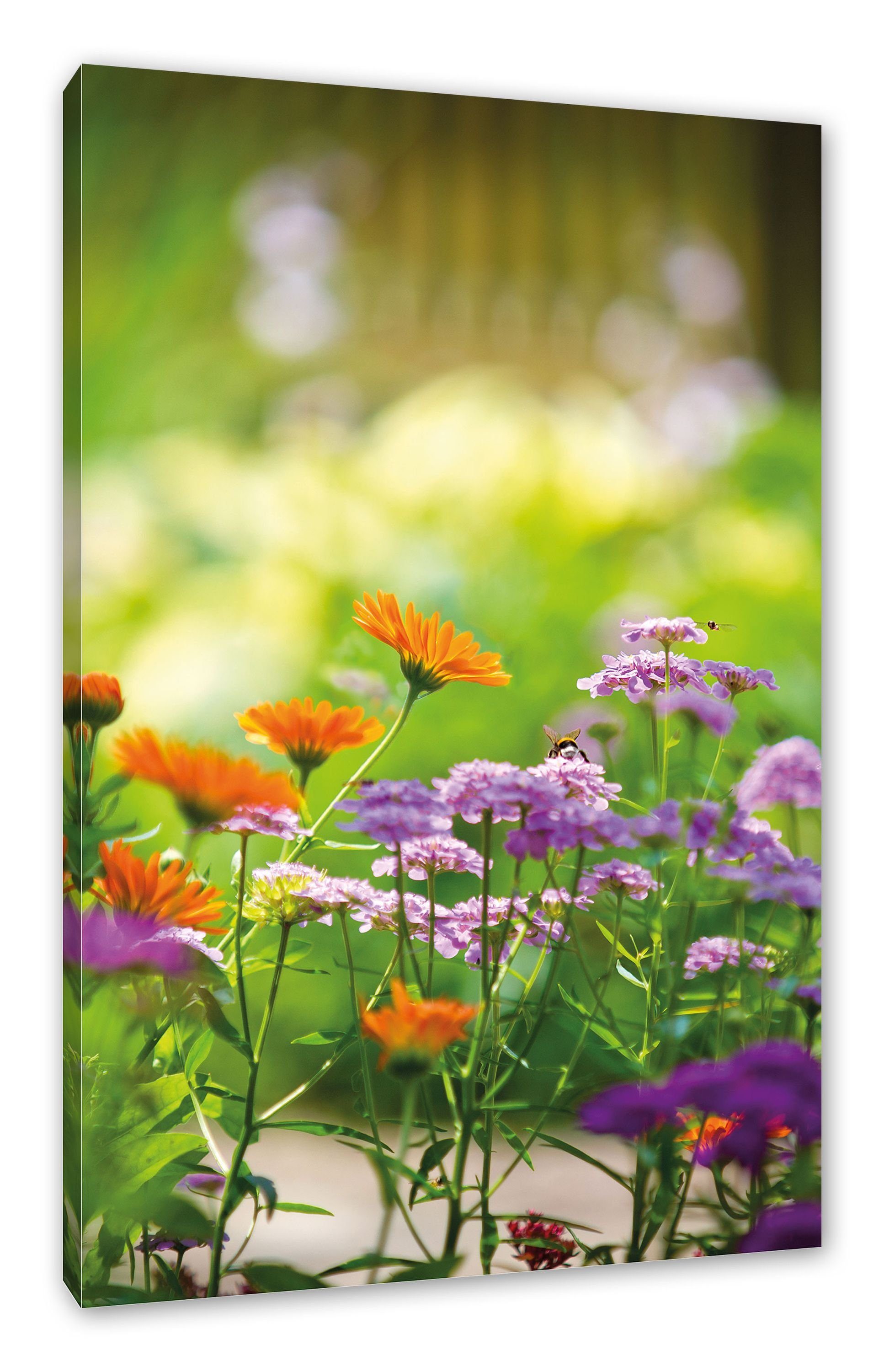 Pixxprint Leinwandbild Blumenwiese, Blumenwiese (1 bespannt, Leinwandbild Zackenaufhänger inkl. fertig St)