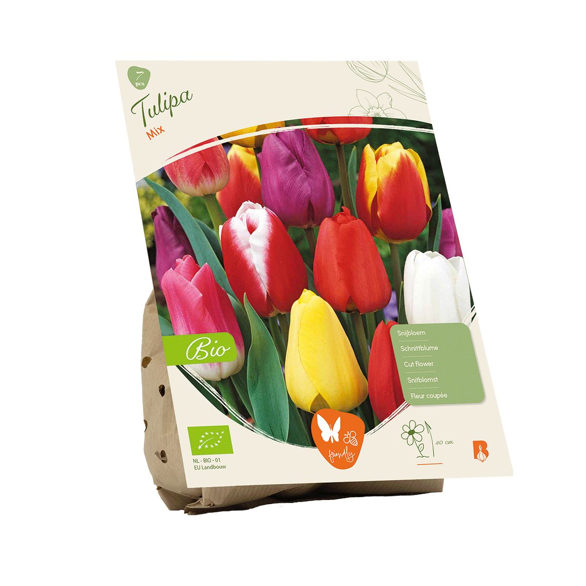 Blumensamen Bio-Blumenzwiebeln Tulpen-Mix.