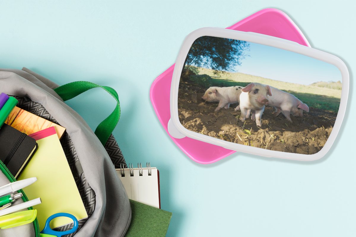 Snackbox, - Mädchen, Erwachsene, Landschaft, - Brotbox für Schweine Lunchbox MuchoWow Kunststoff Tiere (2-tlg), Kinder, Brotdose rosa Kunststoff,