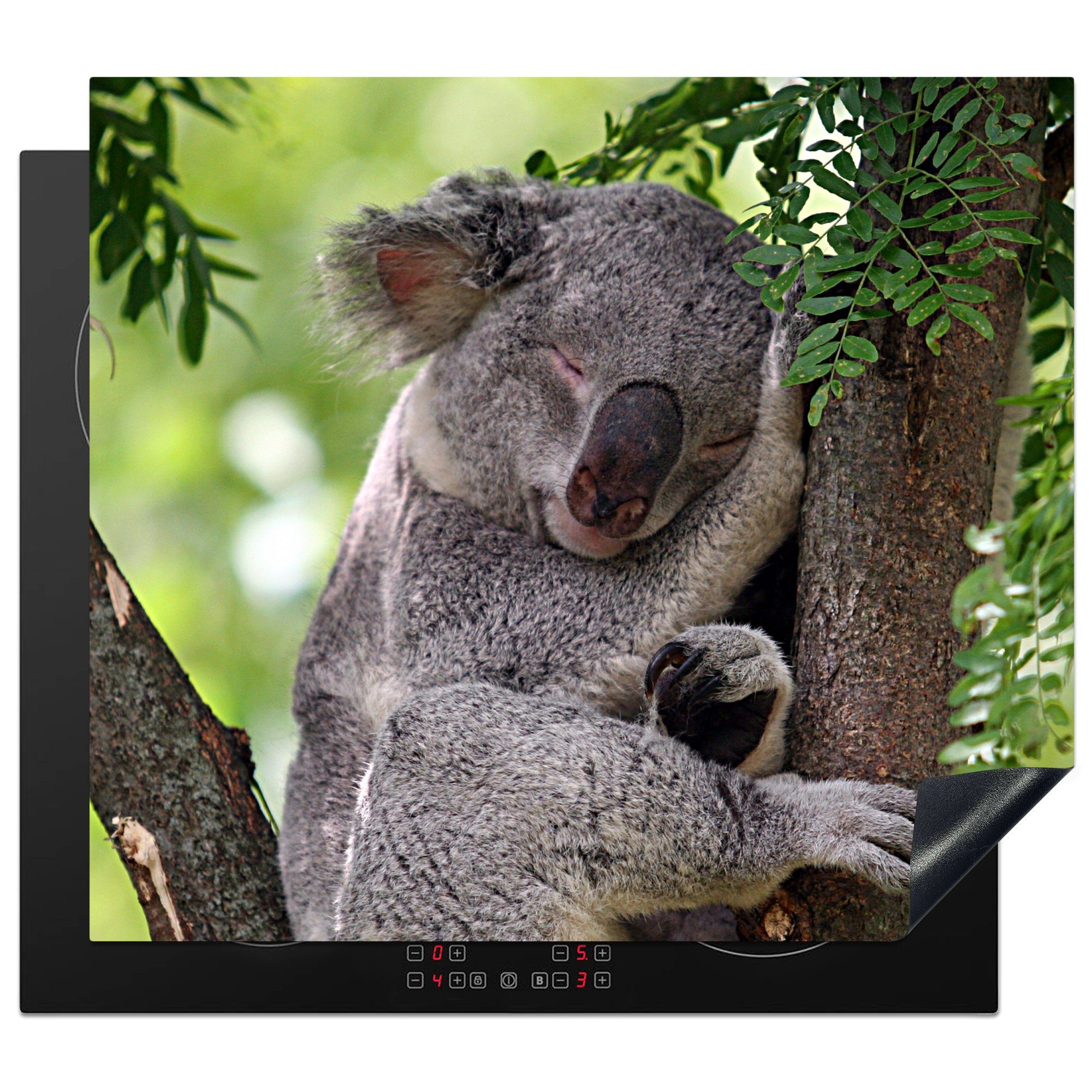cm, nutzbar, - - tlg), Mobile Ceranfeldabdeckung Vinyl, Koala 60x52 Herdblende-/Abdeckplatte MuchoWow Porträt (1 Blätter, Arbeitsfläche