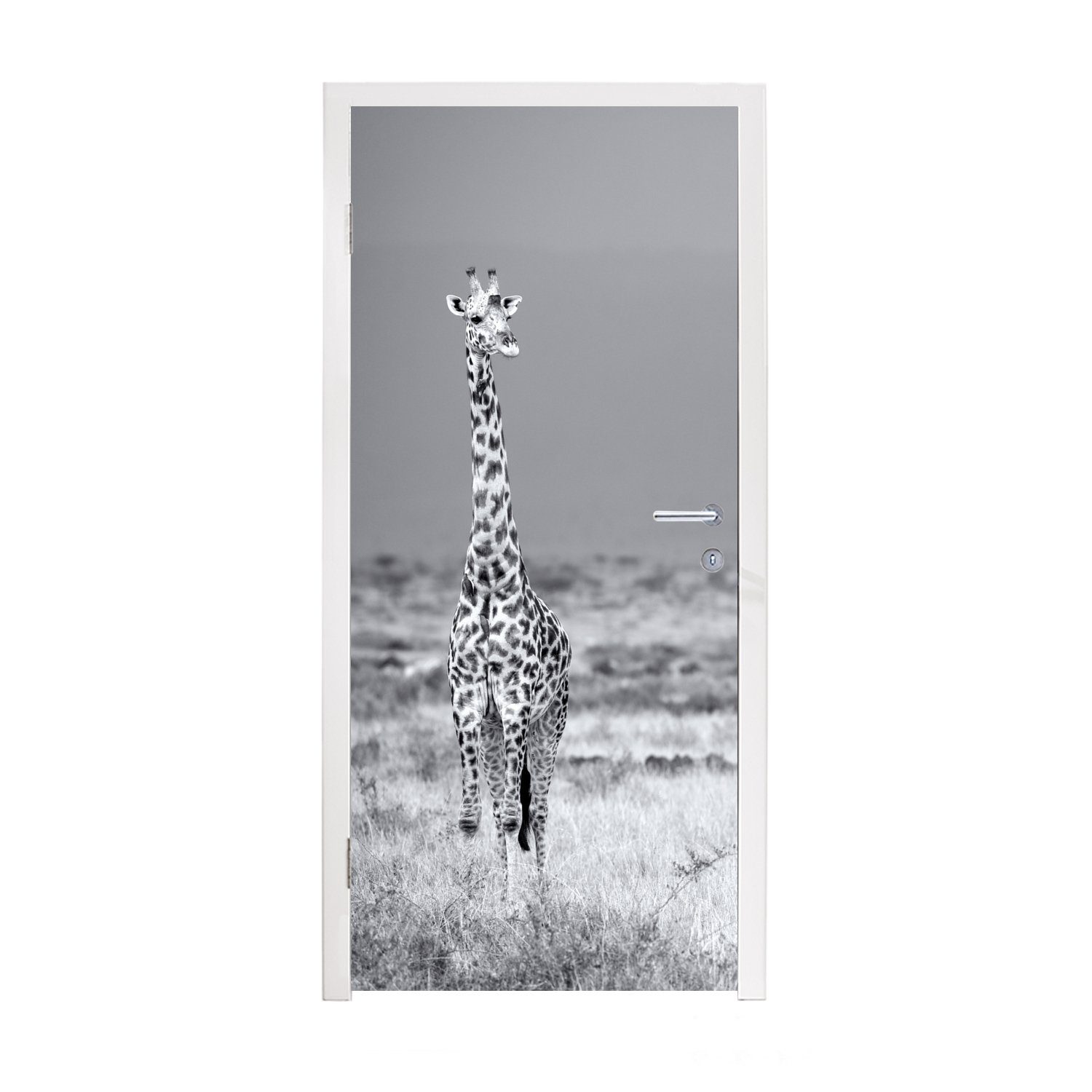 Große bedruckt, Giraffe und Türtapete Fototapete Schwarz (1 in MuchoWow St), cm Matt, Weiß, Türaufkleber, Tür, für 75x205