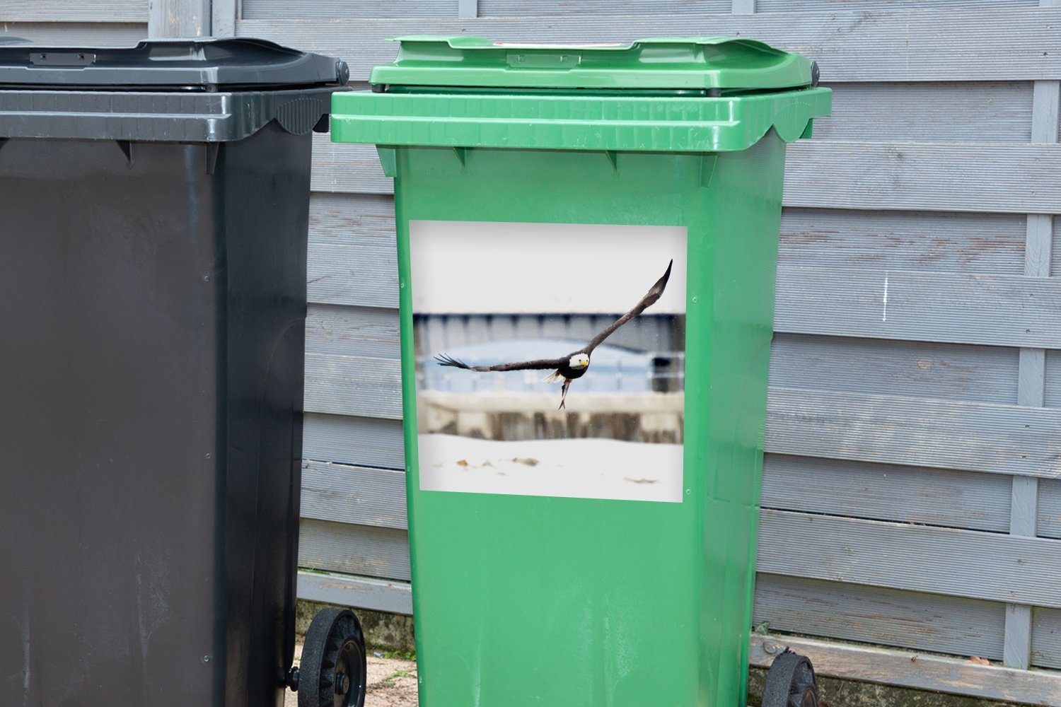 Sticker, Mülleimer-aufkleber, Mülltonne, - Vogel (1 MuchoWow Adler Fliege Wandsticker St), - Container, Abfalbehälter