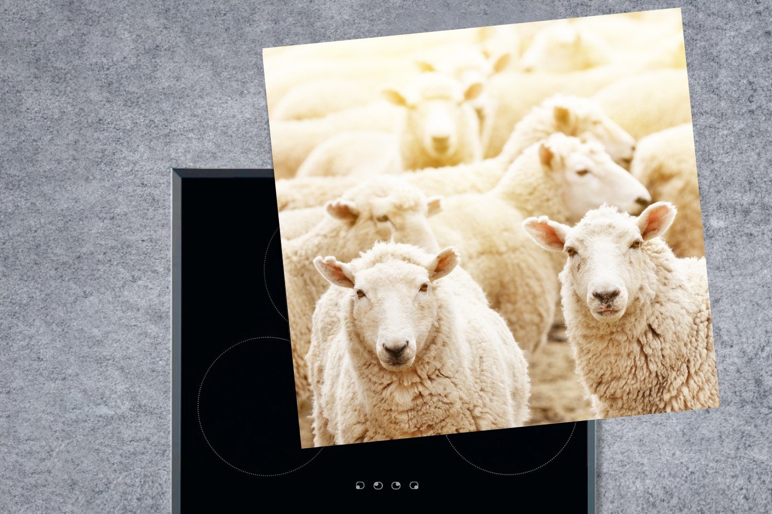 cm, - MuchoWow Ceranfeldabdeckung, Vinyl, - für Wolle Herdblende-/Abdeckplatte Schafe küche Weiß, Arbeitsplatte tlg), (1 78x78