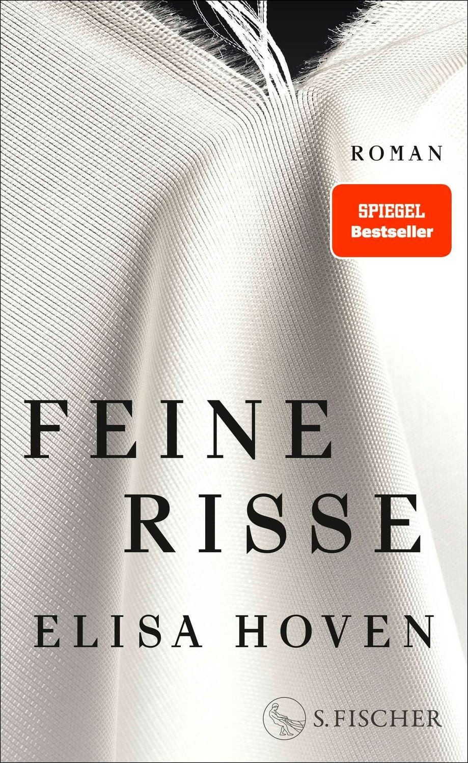 Feine Risse / Elisa Hoven, Roman