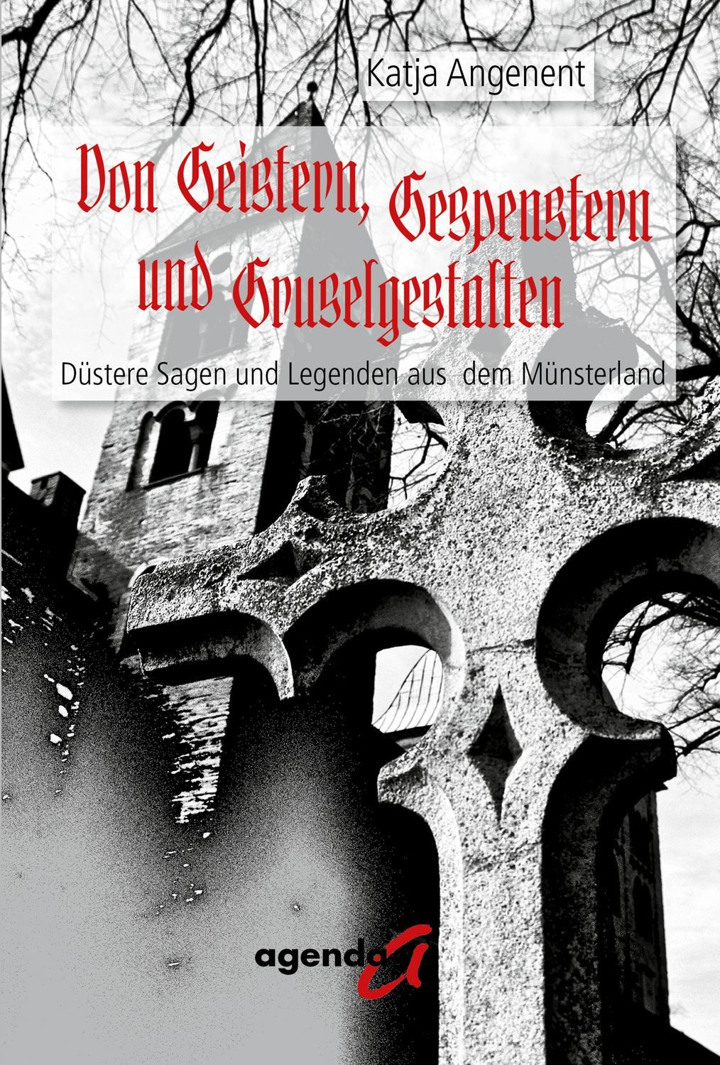 Von Geistern, Gespenstern und Gruselgestalten / Katja Angenent