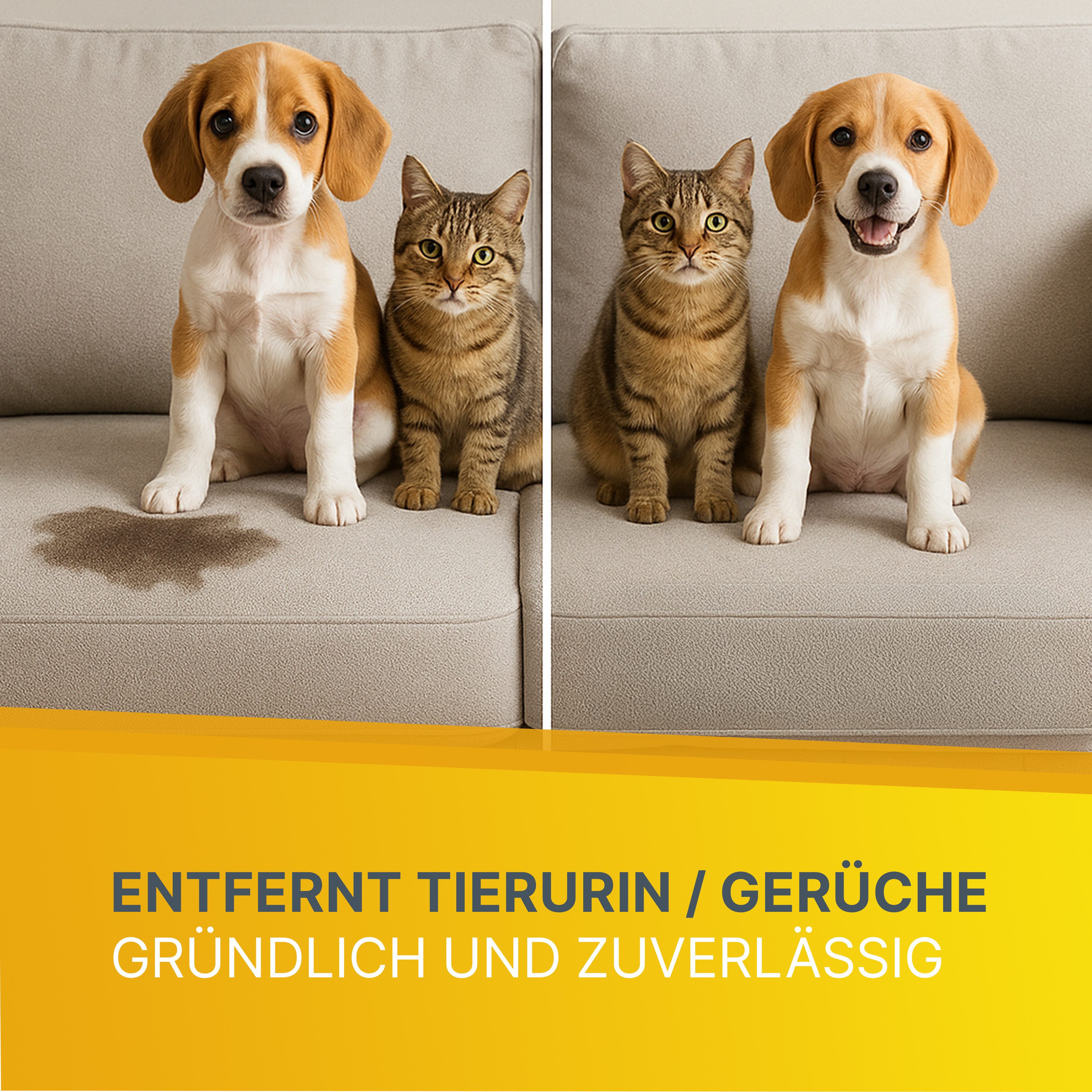 Klarberg Geruchsentferner Enzymreiniger Spray –entfernt Tierurin & Gerüche von Teppich & Polster, zersetzt Gerüche effektiv, leichter Zitrusduft, Made in DE