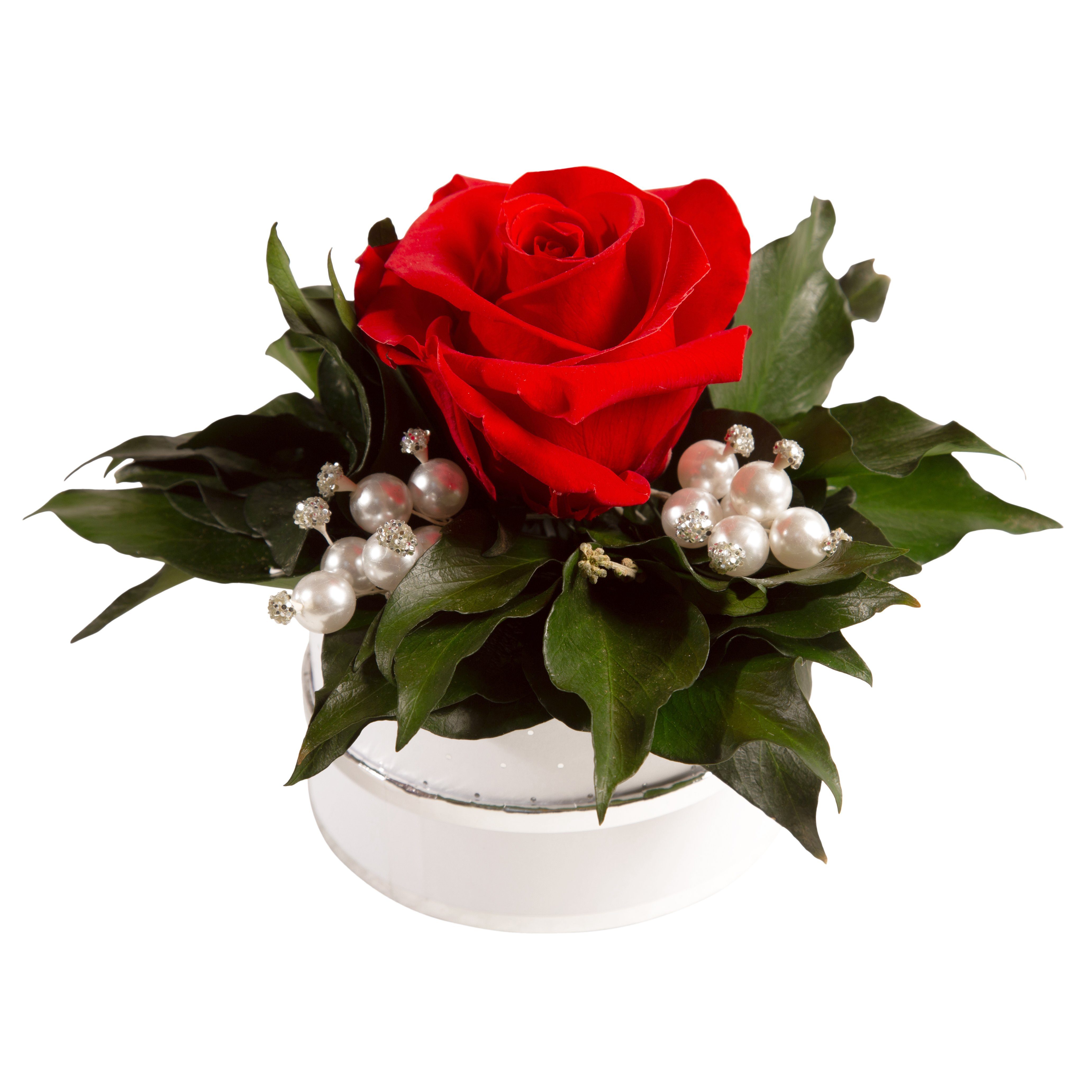 Kunstblume Infinity Rosenbox Diamonds and Pearls günstig online kaufen