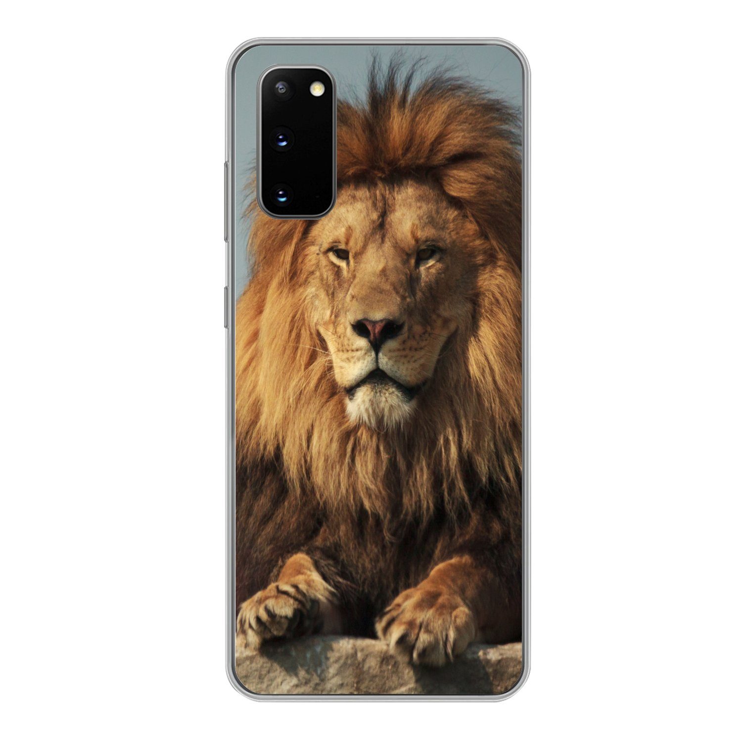 MuchoWow Handyhülle für Samsung Galaxy S20 Löwe - Felsen - Porträt, Phone Case, Silikon, Schutzhülle Dünn