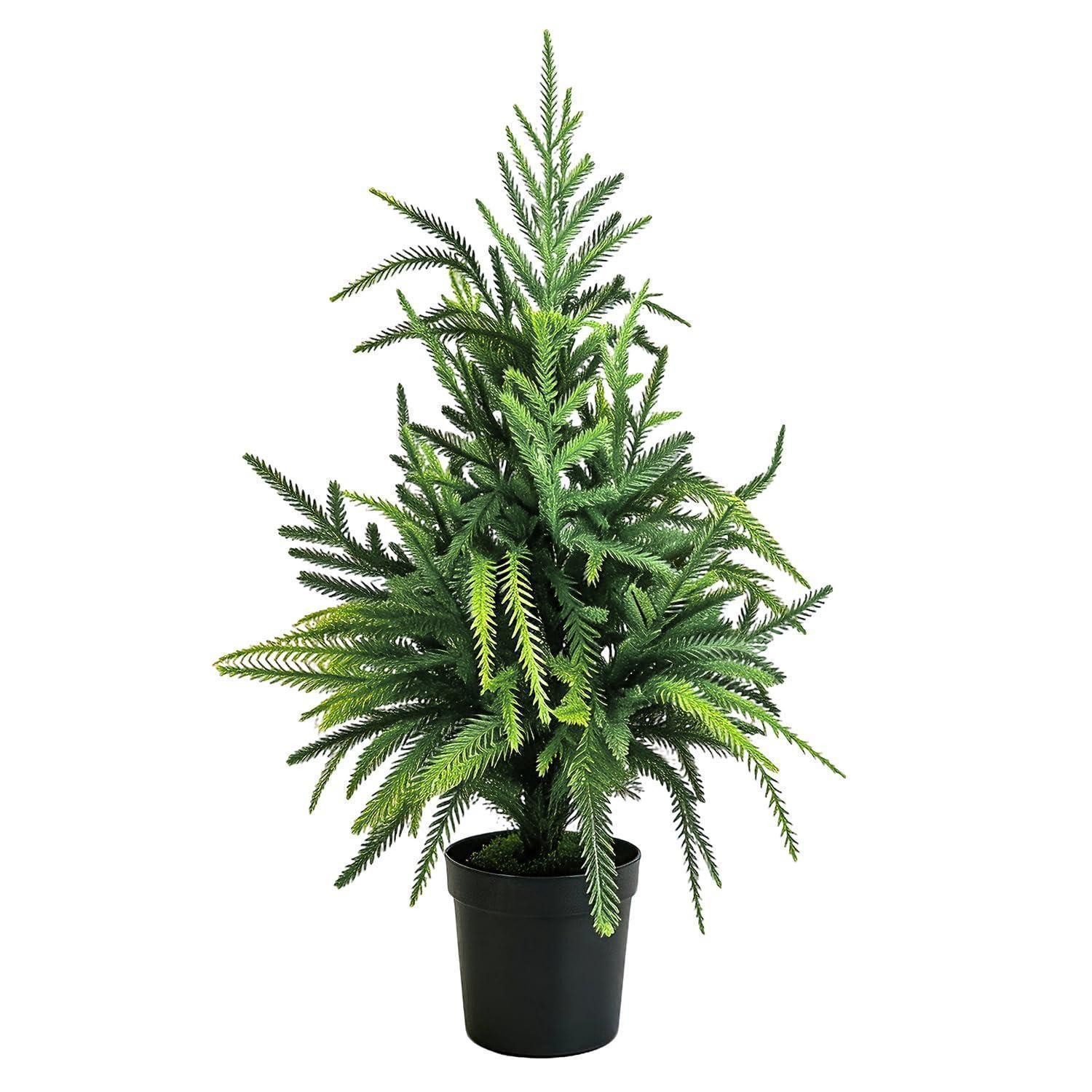 LuxusKollektion Künstlicher Weihnachtsbaum Weihnachtsbaum Norfolk Pine 60cm