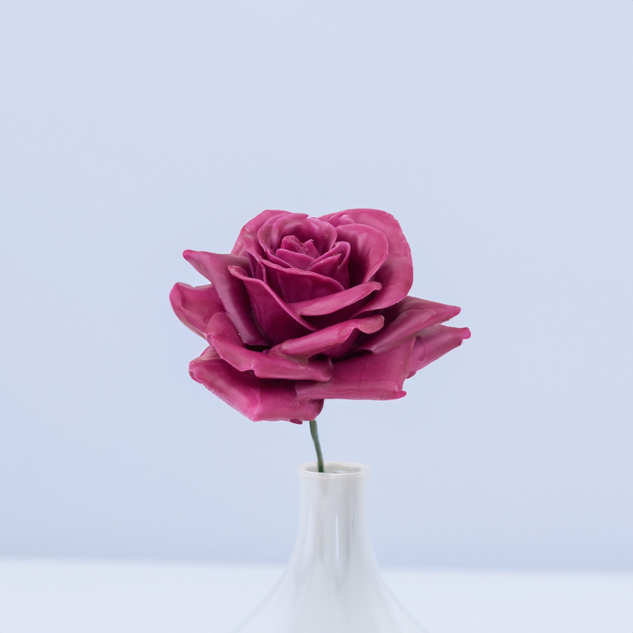 matches21 HOME & HOBBY Bastelnaturmaterial Große Wachs-Blüten Textil-Rosen günstig online kaufen