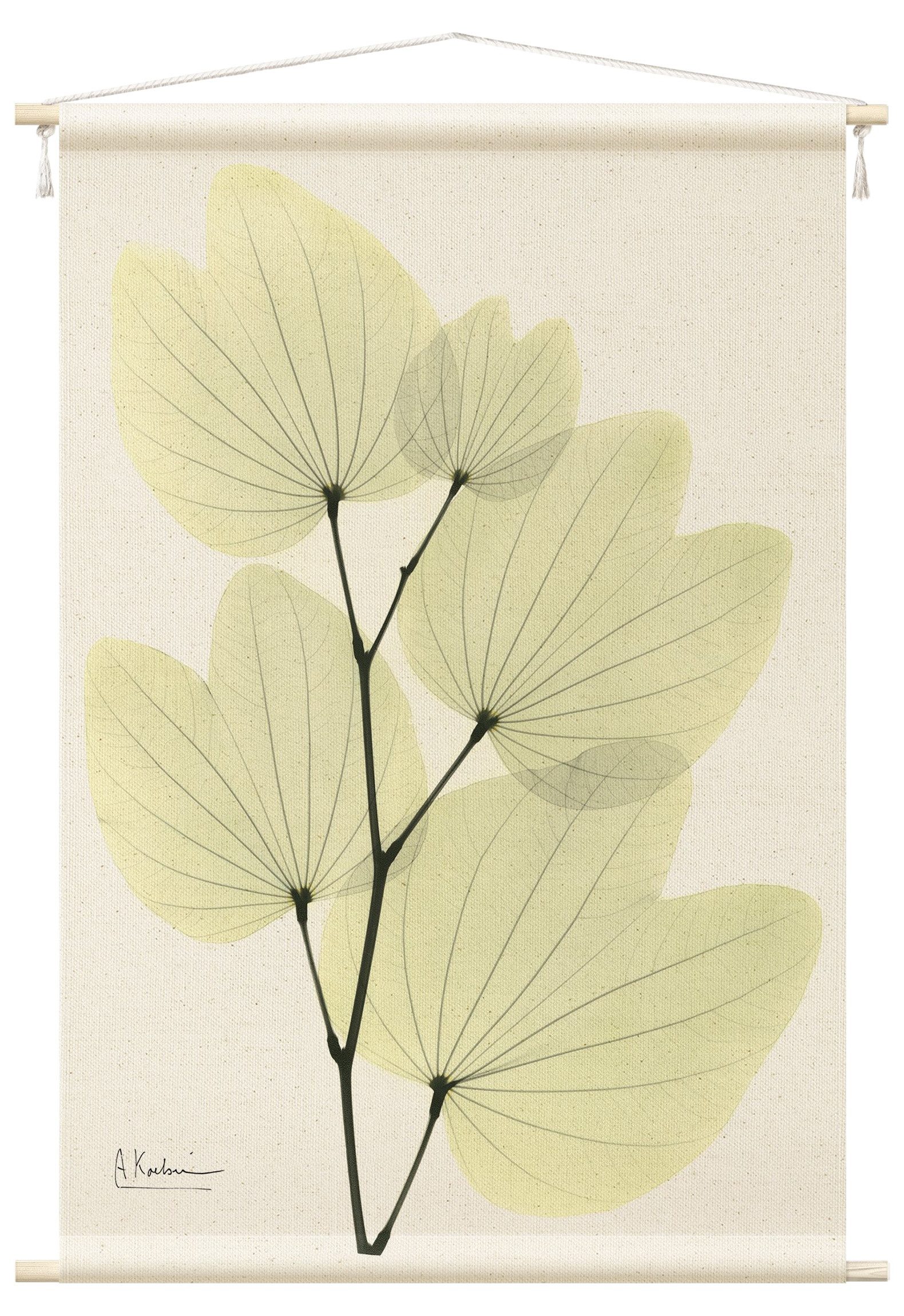 Bilderdepot24 Wandteppich modern Gräser grün, rechteckig, Höhe: 2.6 mm, großes Wandbild aus Natur-Baumwolle Wandbehang Stoffbild Tuch Wollseil