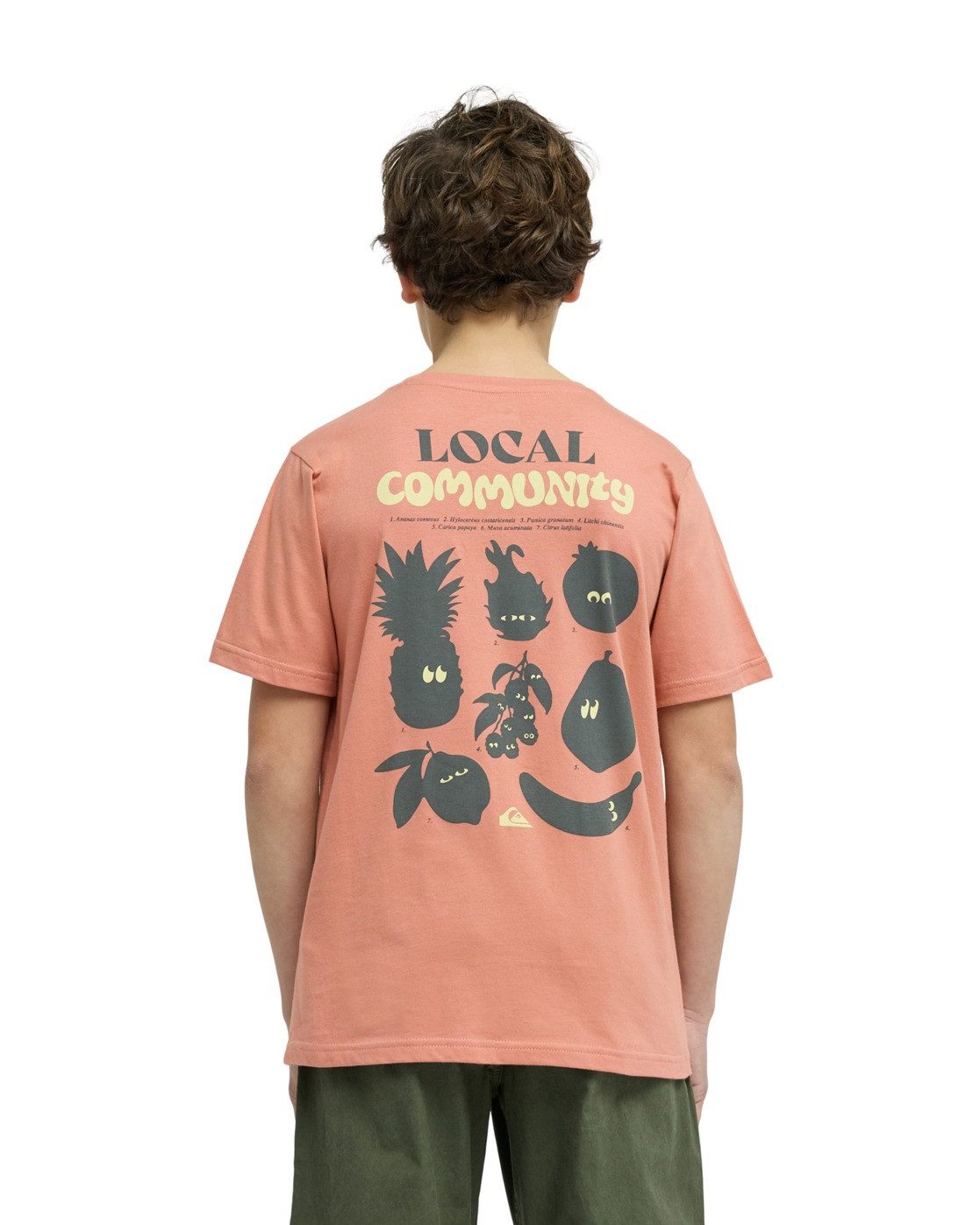 Quiksilver T-Shirt Fruits Tide – Bild 2 von 5