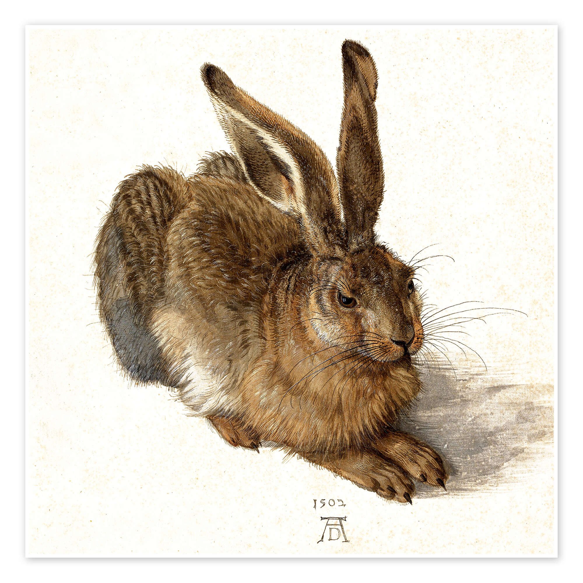Poster Albrecht Dürer