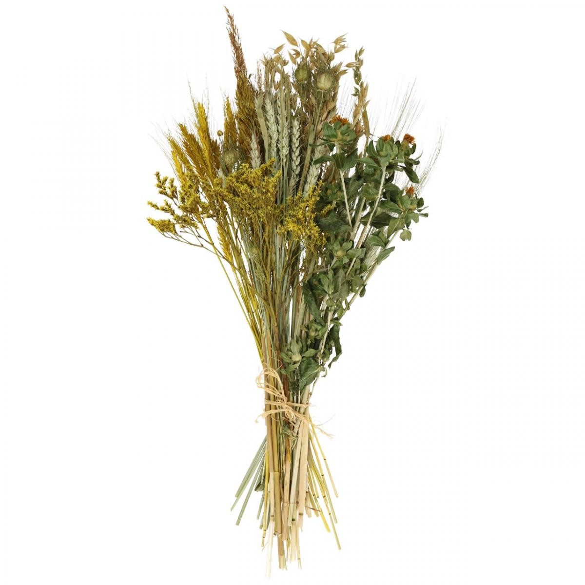 Trockenblume Trockenblumen DIY Set für stilvolle Dekoration und kreative, Viana, Höhe 60 cm