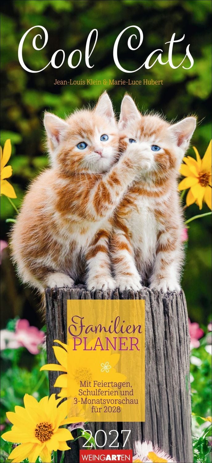 Familienkalender Cool Cats Familienplaner 2027