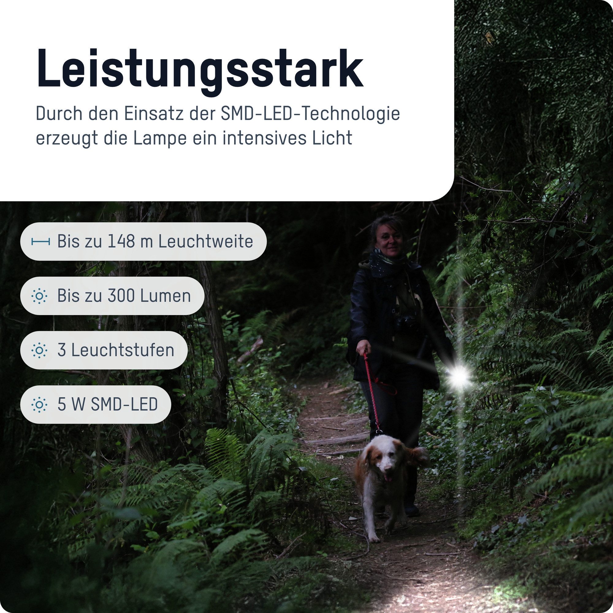 ANSMANN AG LED Taschenlampe LED Adventure Taschenlampe, helle 300lm Outdoor Taschenlampe