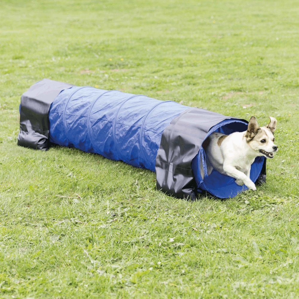 Agility-Slalom Dog Activity Agility Tunnel