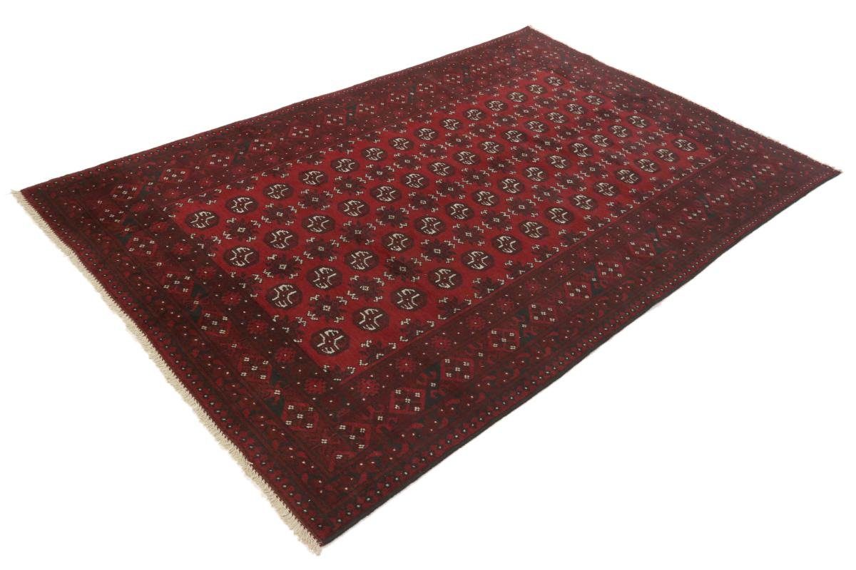 rechteckig, Handgeknüpfter Orientteppich, Orientteppich Akhche mm Afghan 6 Trading, 157x249 Nain Höhe: