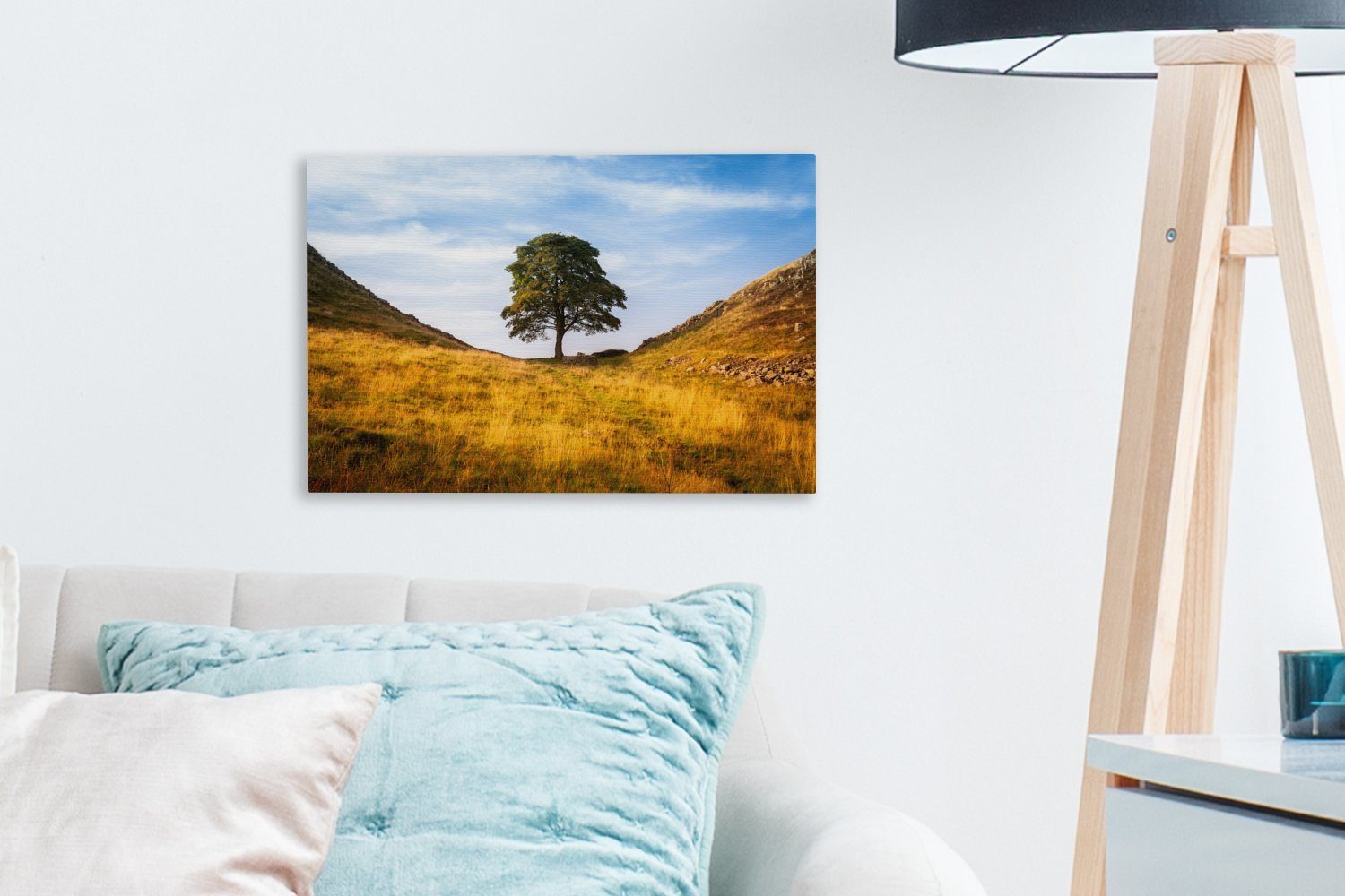 St), Aufhängefertig, Gap Tree am cm Wandbild (1 Hadrianswall, OneMillionCanvasses® Leinwandbilder, Platane Leinwandbild Wanddeko, 30x20