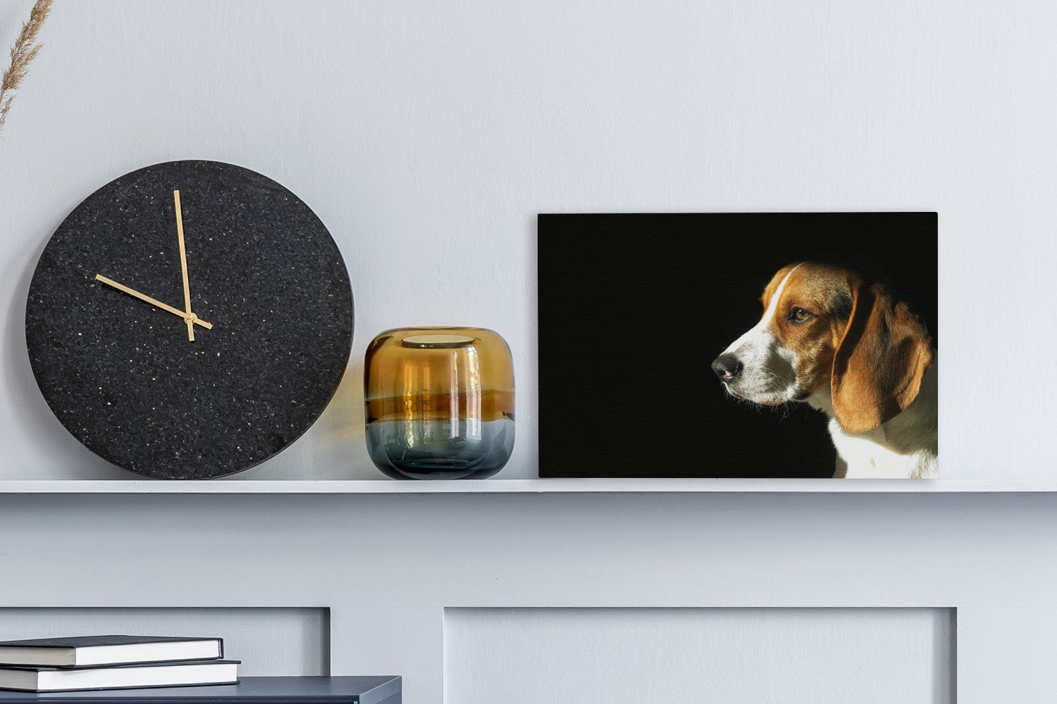OneMillionCanvasses® Leinwandbild Ein Beagle genießt Sonne, Wandbild 30x20 Aufhängefertig, cm die (1 Wanddeko, St), Leinwandbilder