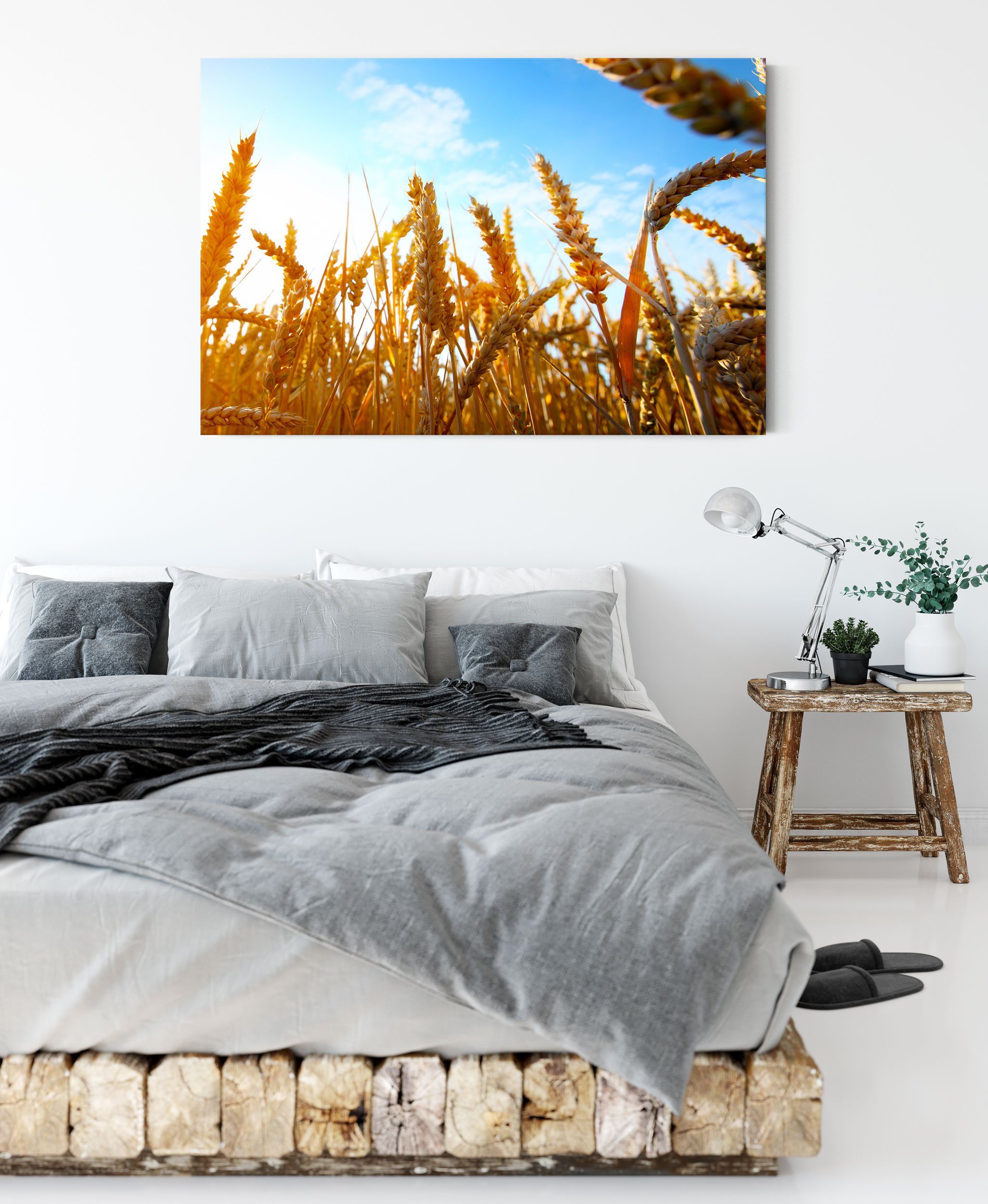 inkl. Pixxprint Sonnenschein, fertig Leinwandbild Getreide im im (1 Sonnenschein Leinwandbild St), bespannt, Getreide Zackenaufhänger