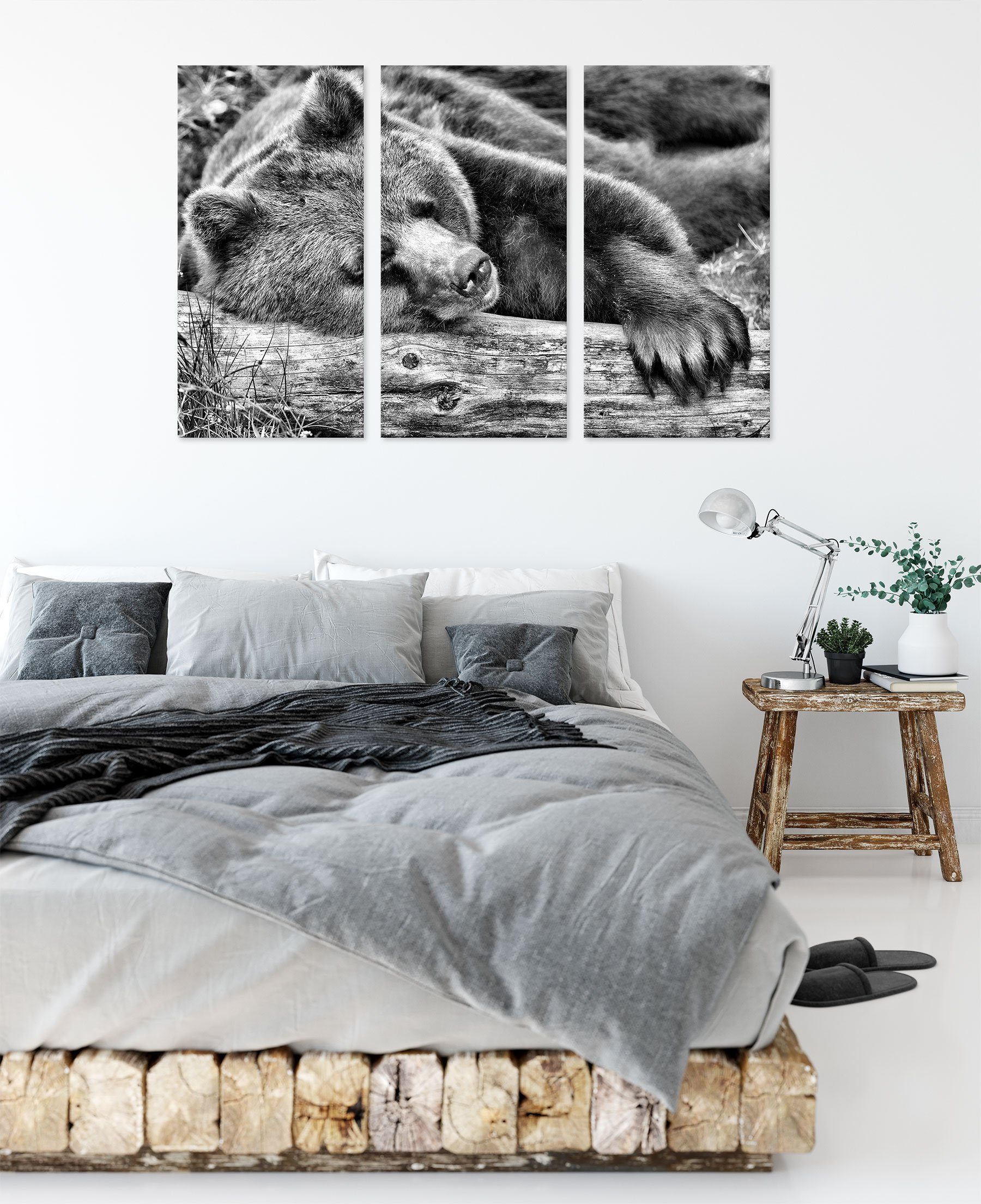 Pixxprint Leinwandbild Bär auf (120x80cm) Leinwandbild schläft schläft inkl. Bär Baumstamm auf 3Teiler bespannt, (1 Baumstamm, St), Zackenaufhänger fertig