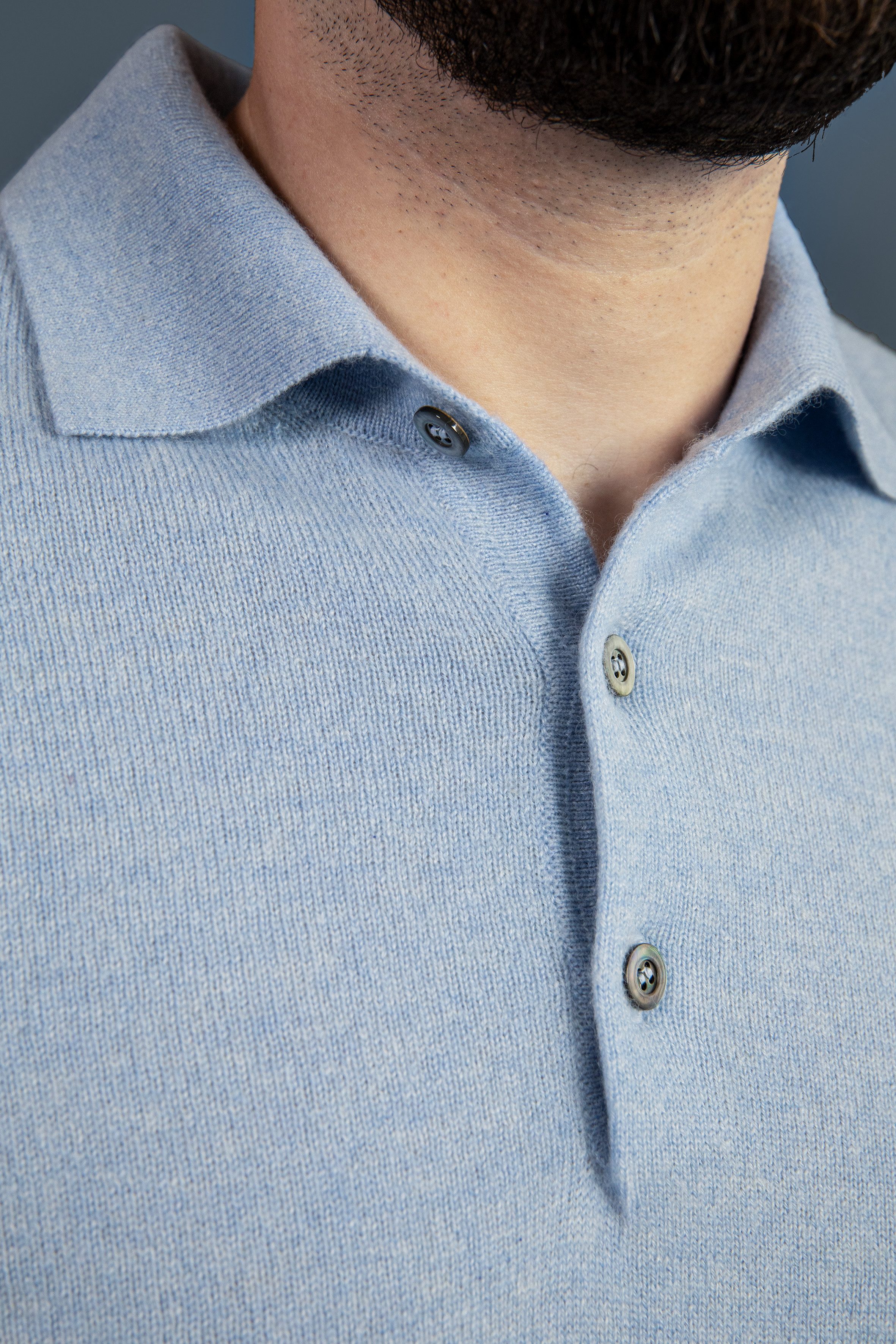 Ariun Kaschmirpullover mit Polokragen günstig online kaufen