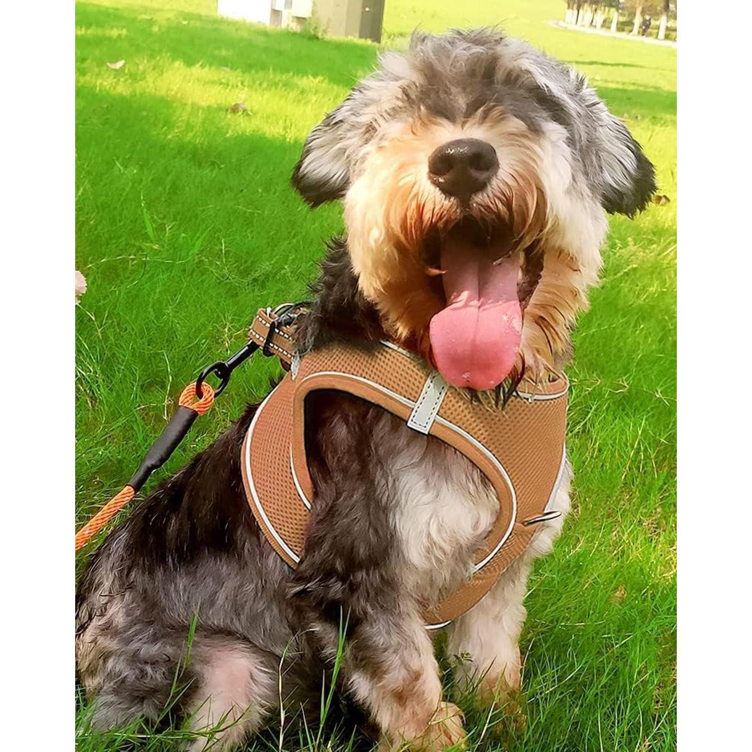 LuxusKollektion Hunde-Geschirr Hundegeschirr Brustgeschirr Reflektierend L-Brust:47-55cm Khaki