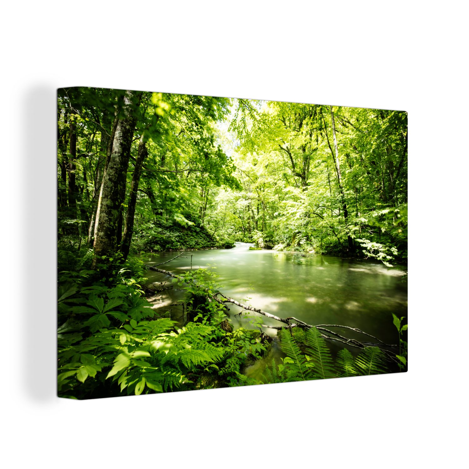 OneMillionCanvasses® Leinwandbild Wald - Baum - Wasser, Fotodruck (1 St), L günstig online kaufen