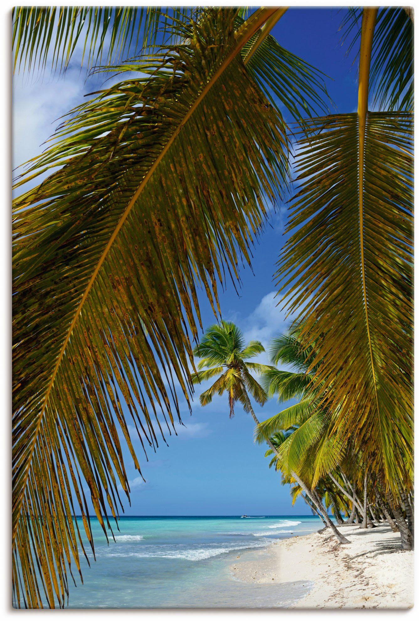 Saona, (1 St), Alubild, Wandbild als Leinwandbild, Isla Größen Karibikbilder Artland Wandaufkleber Poster in oder Palmenstrand, versch. Insel