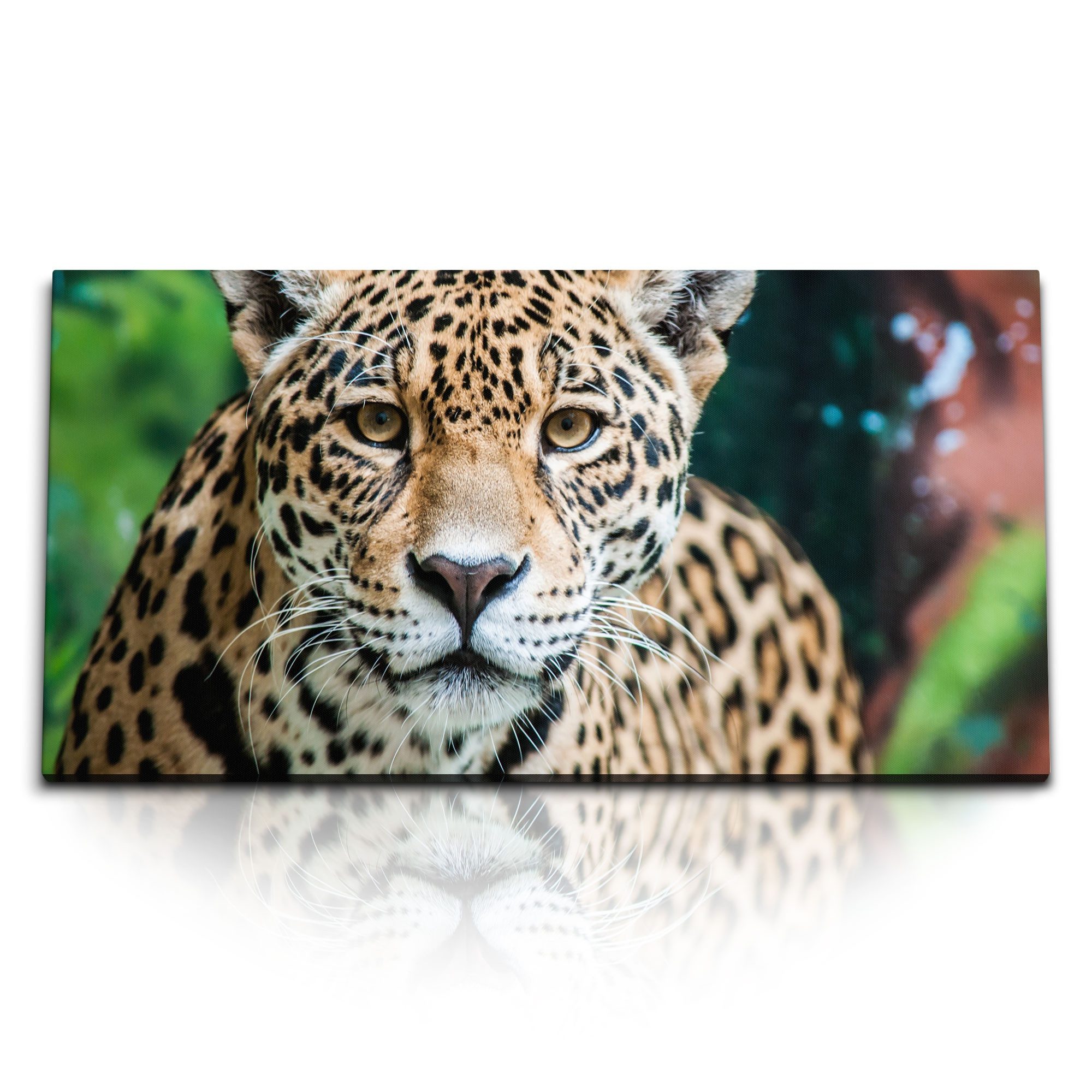 Leinwandbild Kunstdruck Bilder 120x60cm Jaguar Leopard Raubkatze Katze Tierfotograf