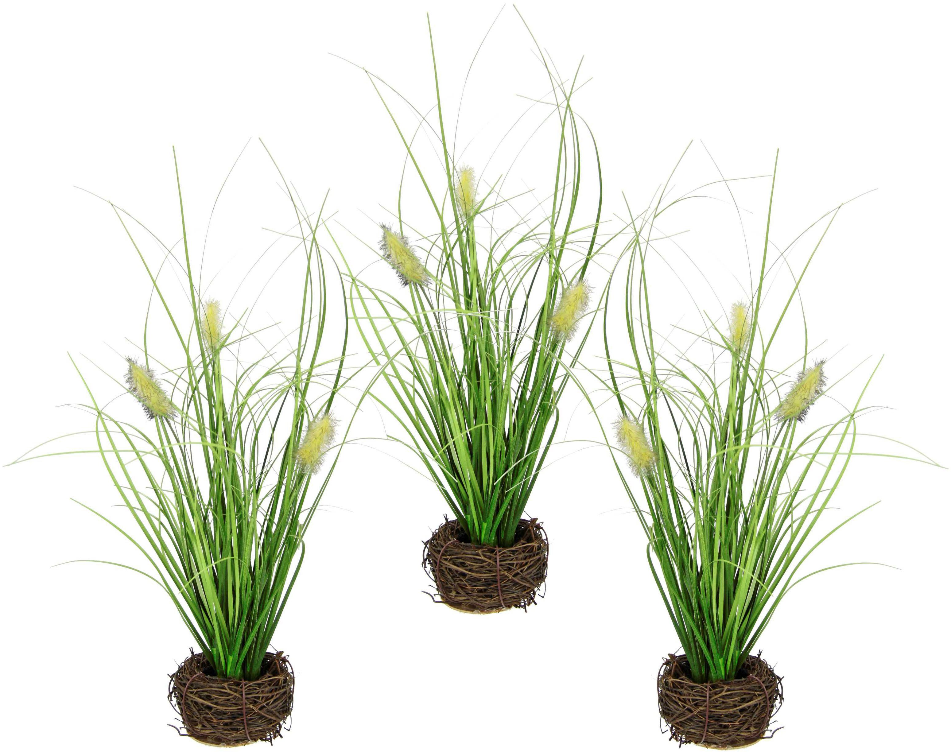 Kunstgras Künstliches Gras 'Fuchsschwanz', I.GE.A., Höhe 26 cm, Im Reisig-Nest, 3er Set