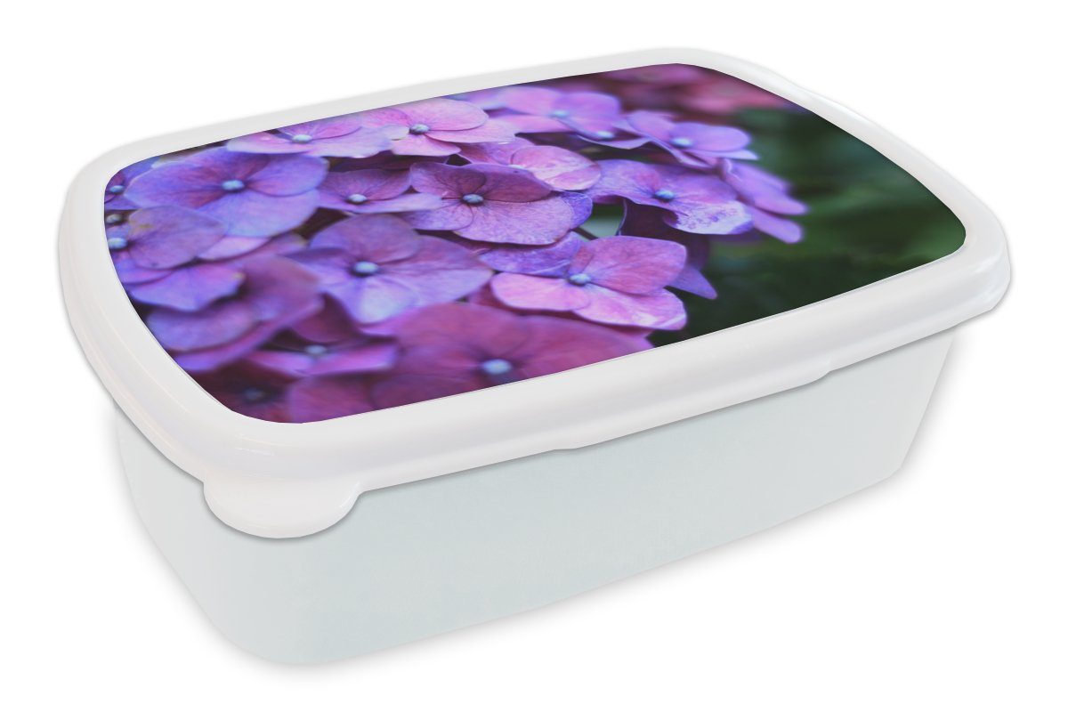 Brotbox Lunchbox Blumen - Brotdose, Hortensie Mädchen für - weiß Kinder Jungs Natur Blütenblätter, - - Erwachsene, für MuchoWow und Lila (2-tlg), Kunststoff, und