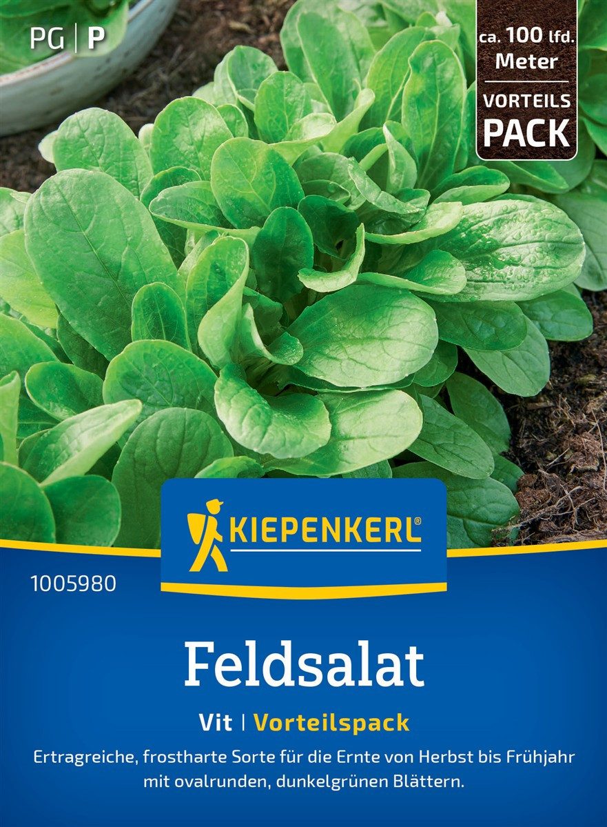 Pflanzen für Dich Gemüsesamen Feldsalatsamen Vorteilspackung Vit Valerianella locusta 100 lfd. Meter