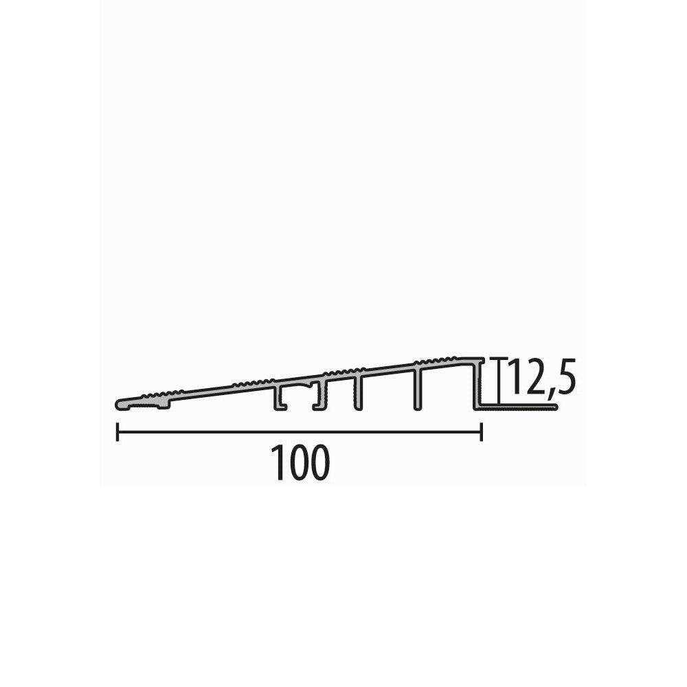 Küberit Anpassprofil 12.5 x 100 x 2500 mm, Rampenprofil, Aluminium
