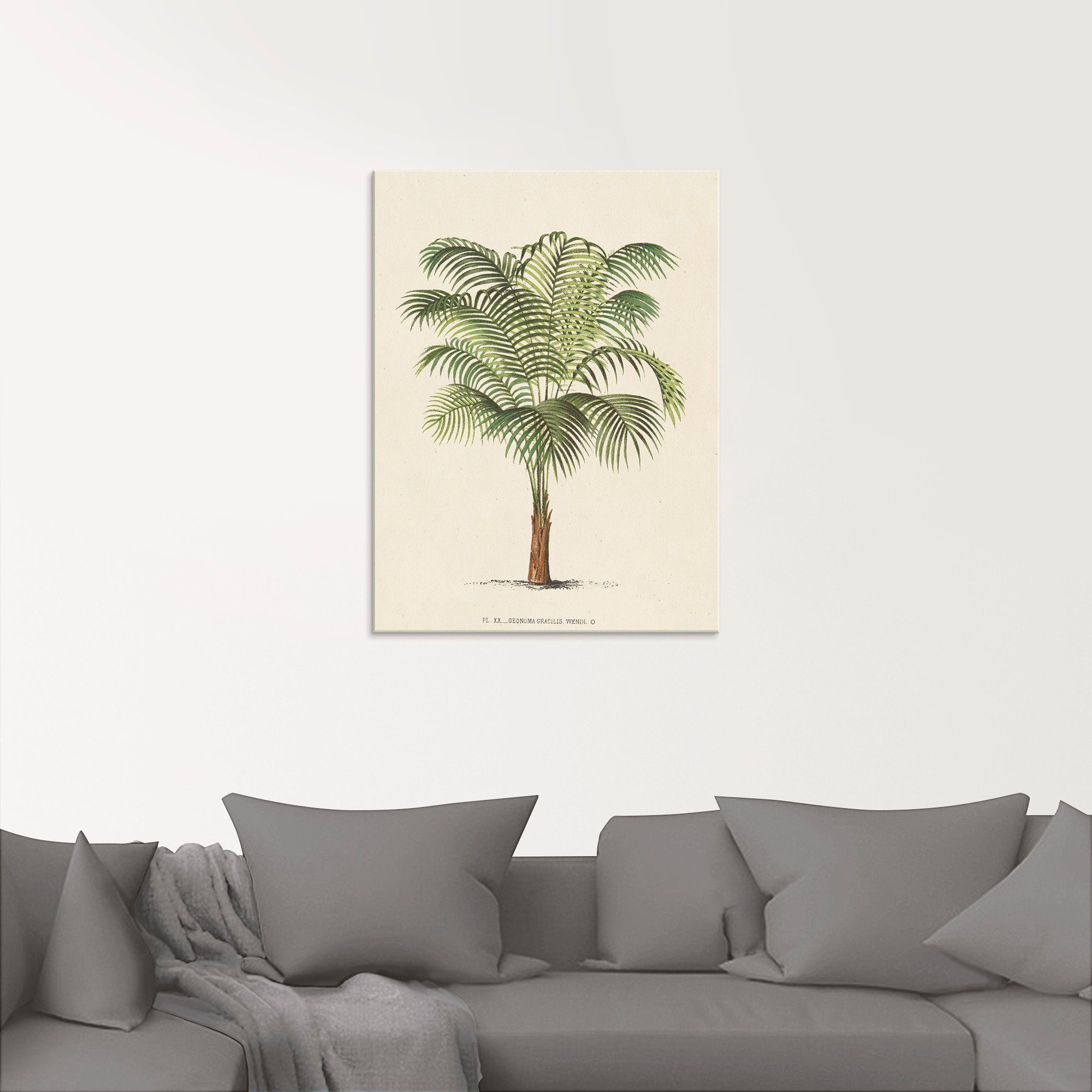 Artland Glasbild Palme Pflanzen in II, verschiedenen Größen (1 St)