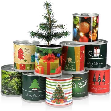 MacFlowers® Anzuchttopf Weihnachtsbaum in der Dose - Baum, Geschenke und Bunte Streifen