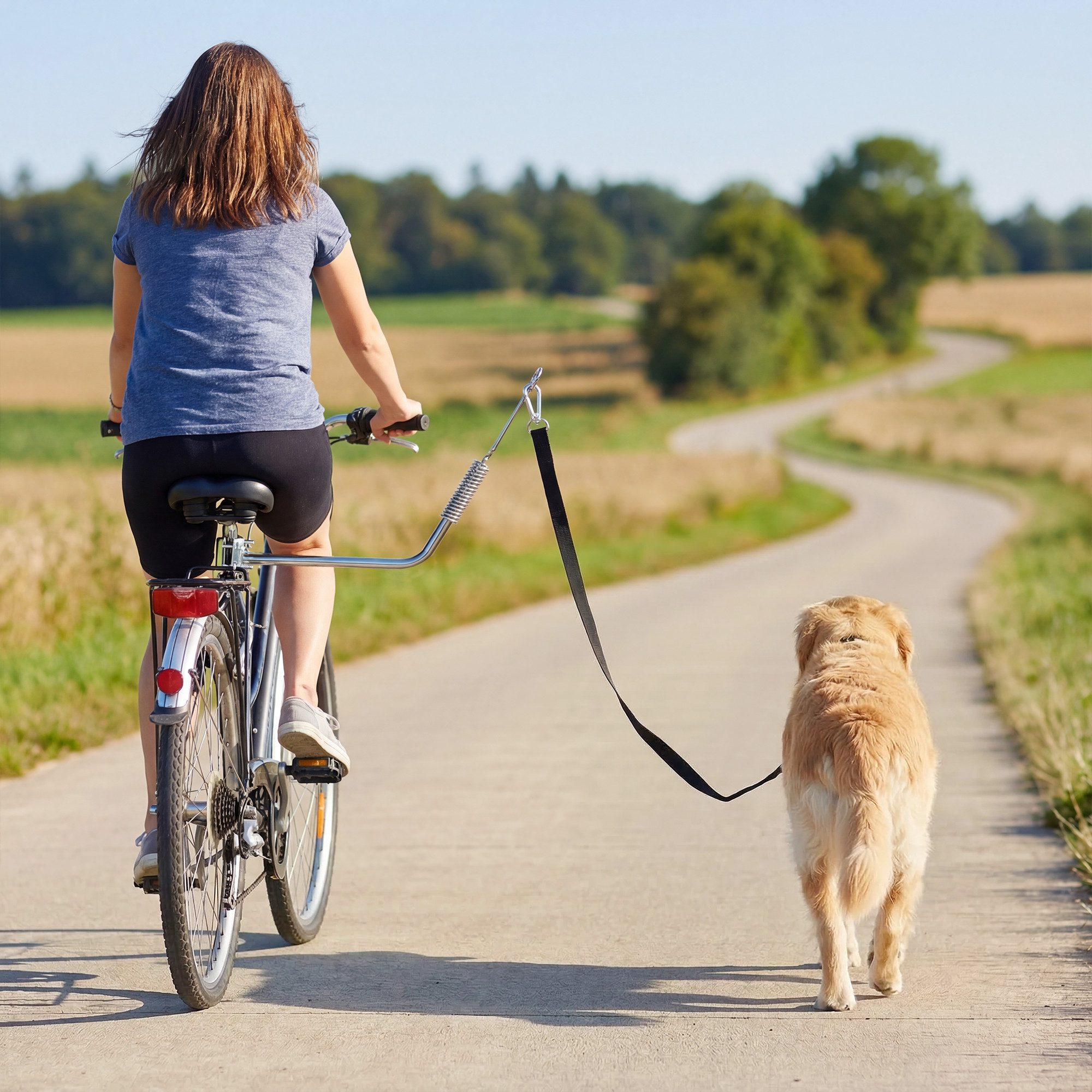 AIMAX Hundeleinen-Führungsstange Hundeleine Fahrrad mit Stoßdämpfer verstellbar für Training & Joggen