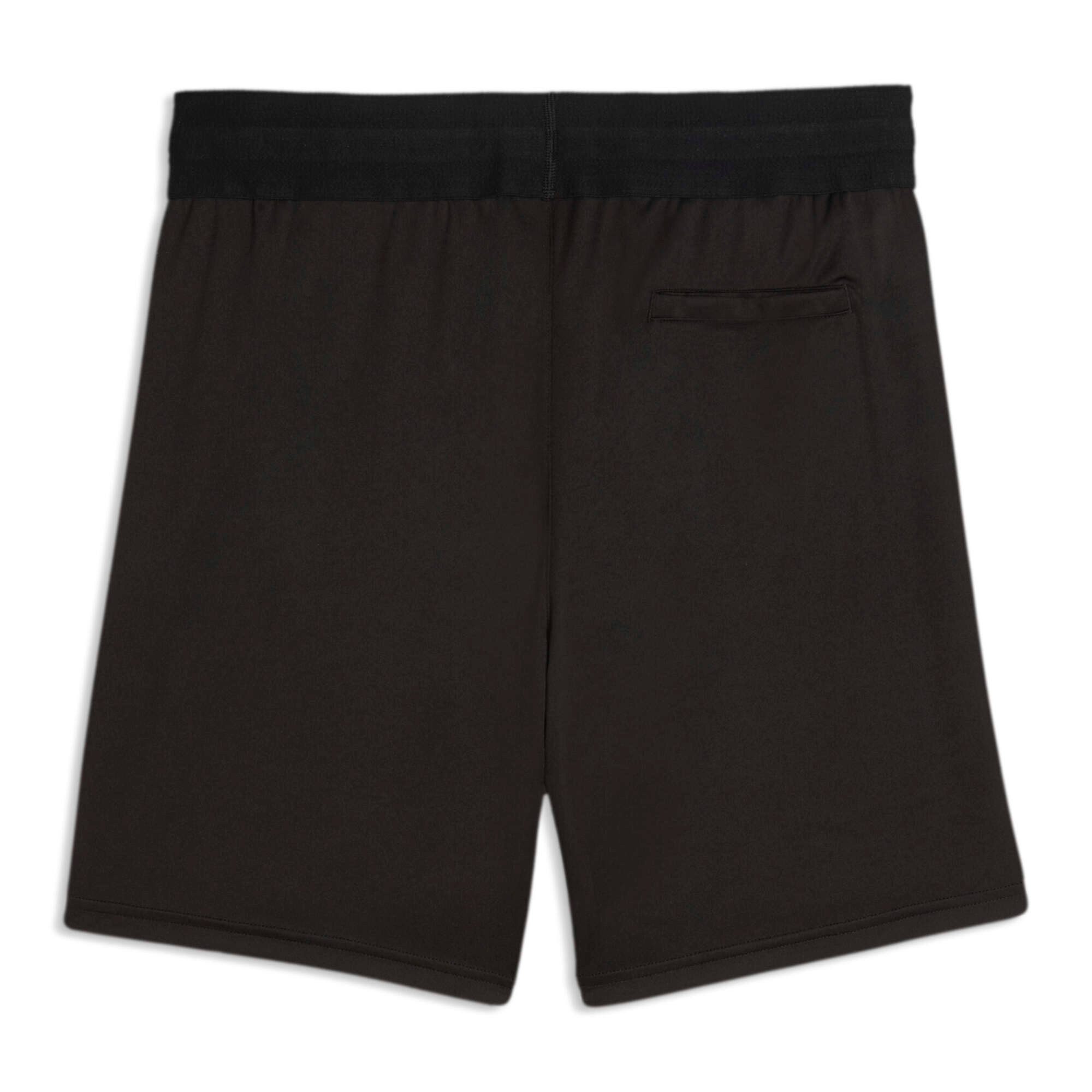 PUMA Trainingsshorts Puma Herren Schiedsrichter Short teamLIGA26 Referee 706559