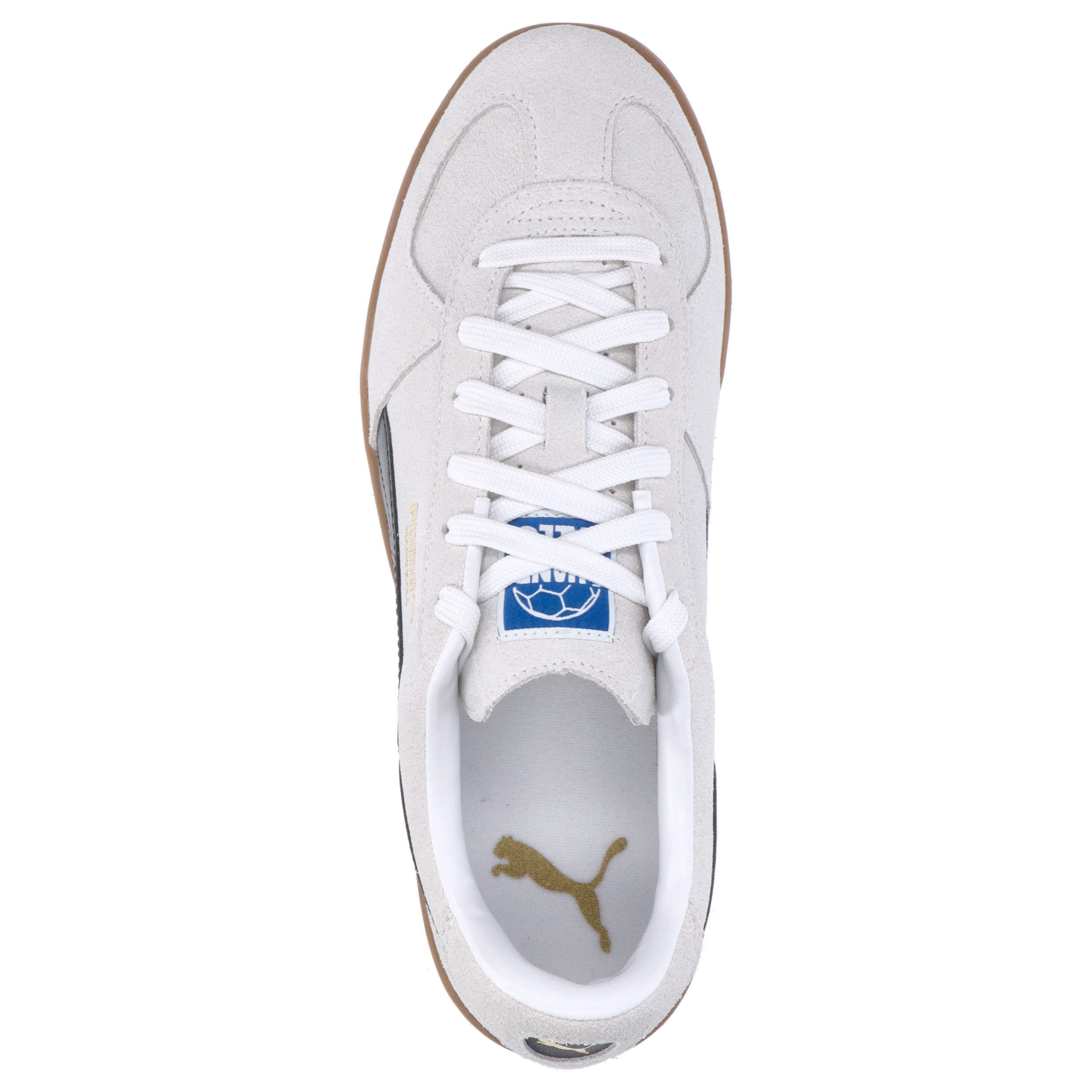 PUMA Puma Herren Handballschuhe PUMA Handball 106695 Hallenschuh