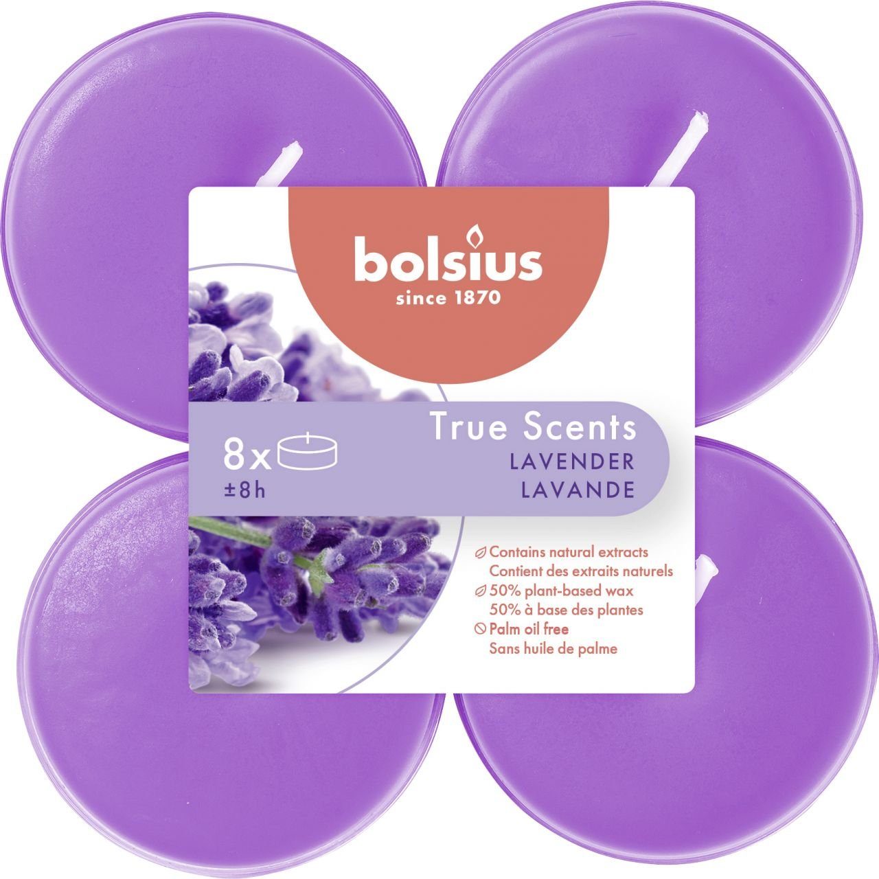 Bolsius Teelicht Bolsius Duftteelichter Maxi Lavendel, günstig online kaufen
