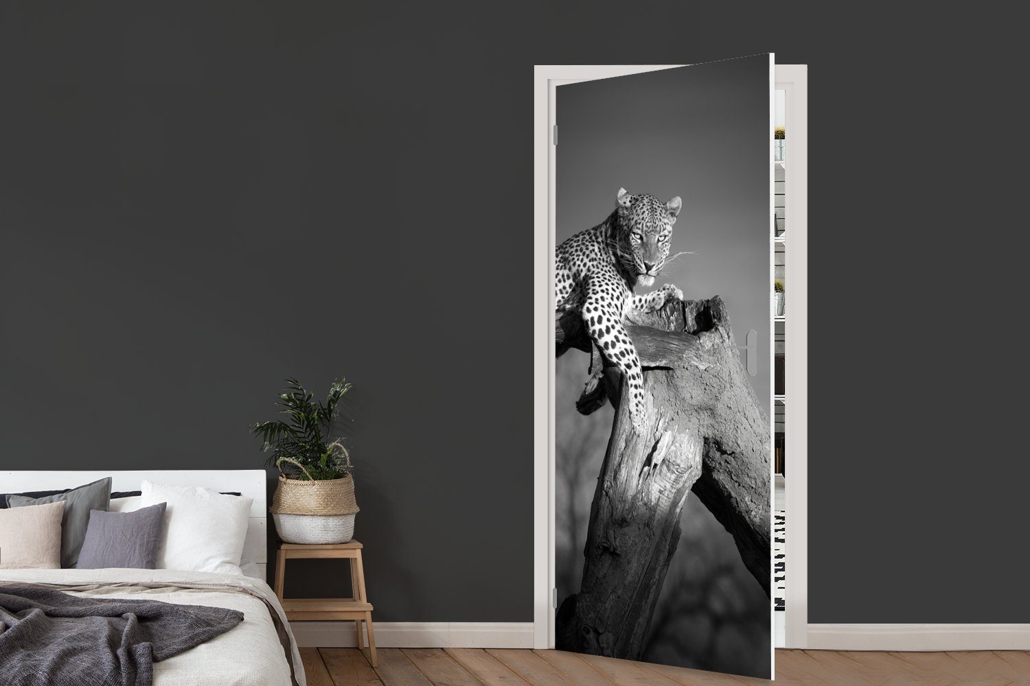 bedruckt, Türtapete - Türaufkleber, St), - für Tiere Tür, - Weiß, MuchoWow Schwarz Matt, (1 - 75x205 cm Baum Fototapete Panther