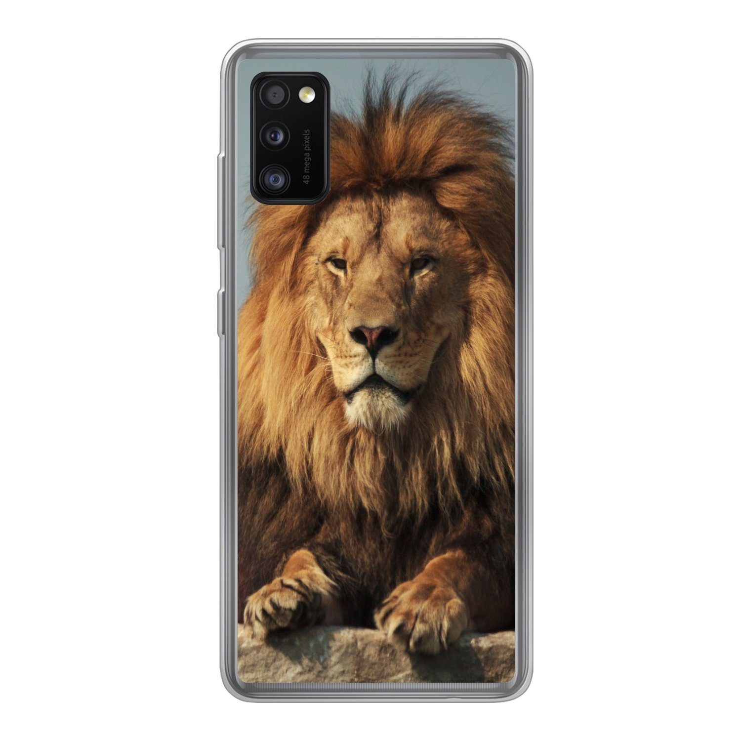 MuchoWow Handyhülle für Samsung Galaxy A41 Löwe - Felsen - Porträt, Smartphone-Bumper, Print, Handy Schutzhülle Dünn