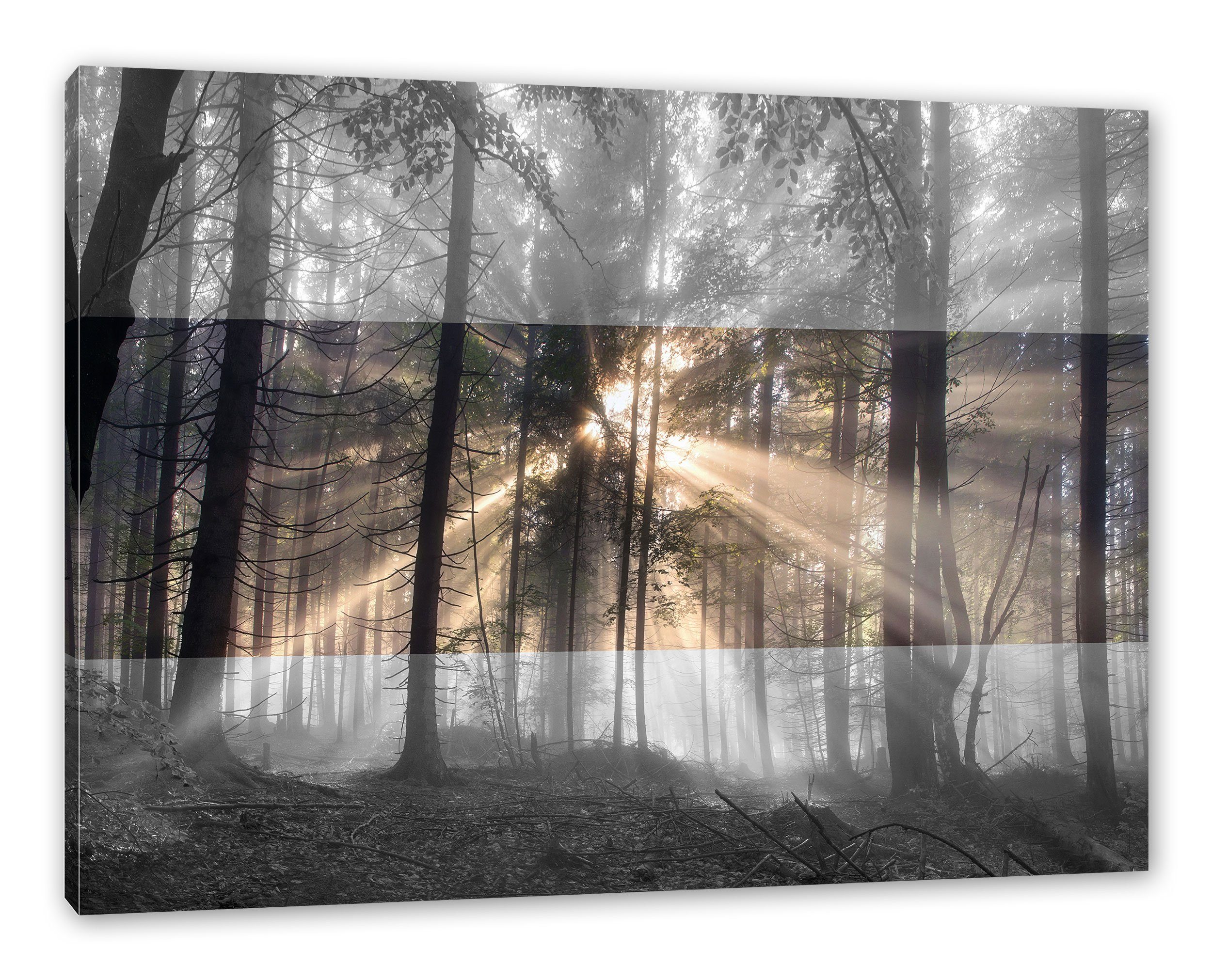 (1 Herbstwald St), im Leinwandbild Leinwandbild fertig Nebel, Zackenaufhänger Pixxprint bespannt, Herbstwald im inkl. Nebel