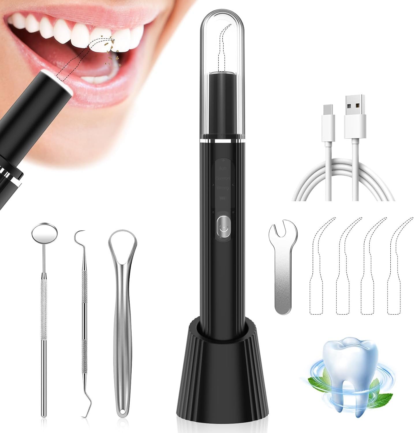 Pdgrid Zahnpflege-Set 800-mAh-Akk Zwischenraumreiniger Munddusche Zahnsteinentferner, 4 Reinigungsköpfe, 3 Einstellbare, Zusatzbeleuchtung, IPX6 wasserdicht